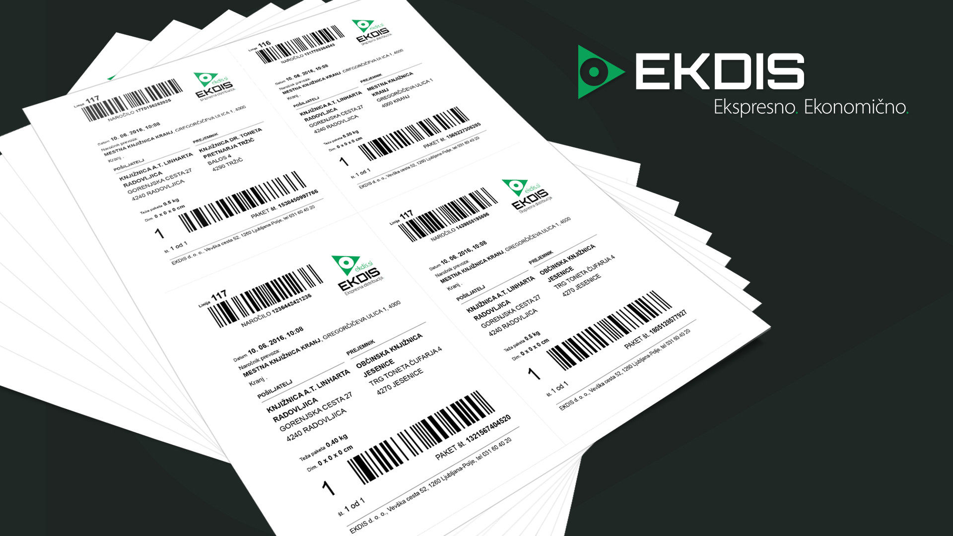 Celostna podoba EKDIS