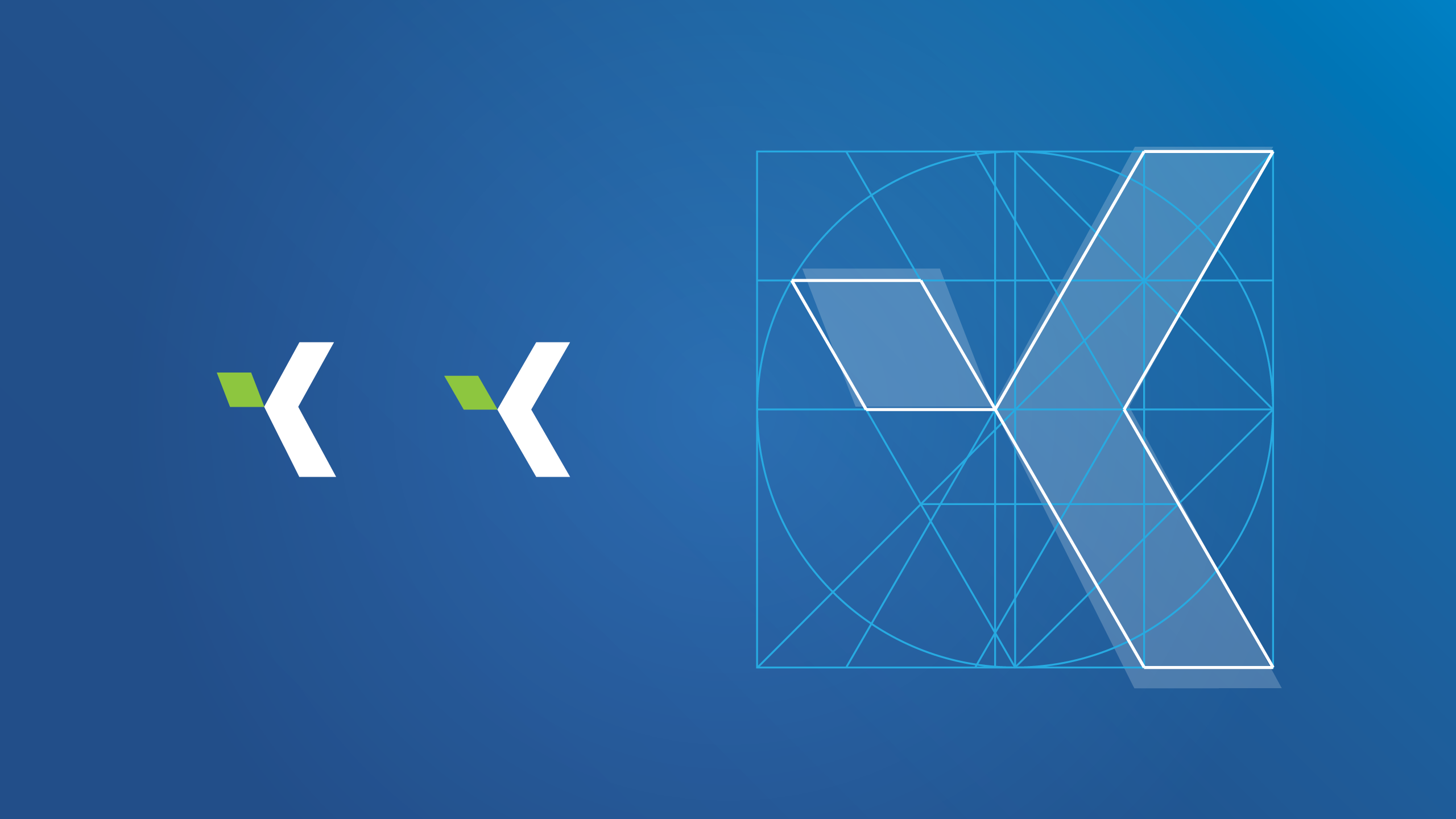 Celostna podoba Kostak Skupina