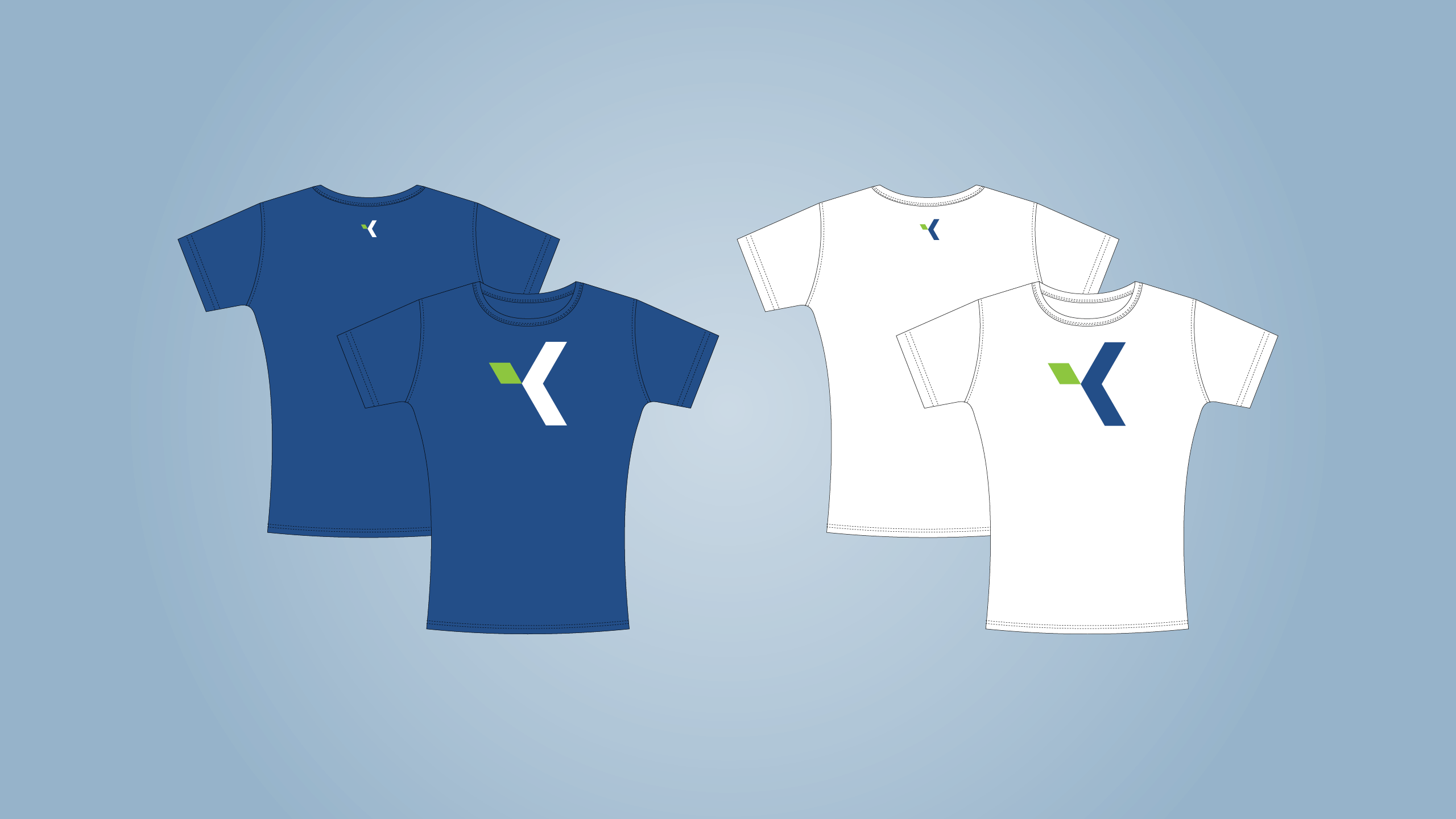 Celostna podoba Kostak Skupina