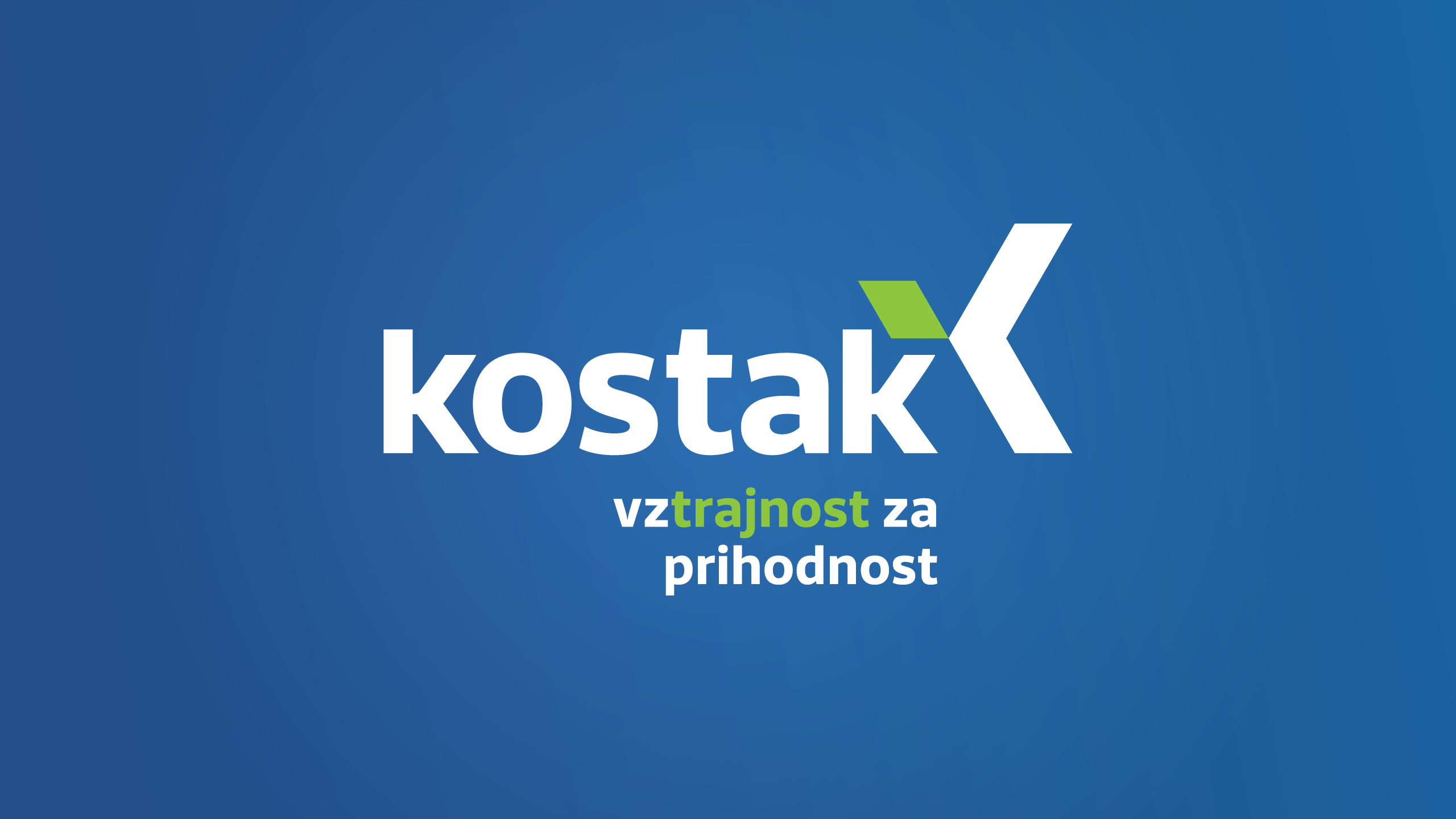 Celostna podoba Kostak Skupina