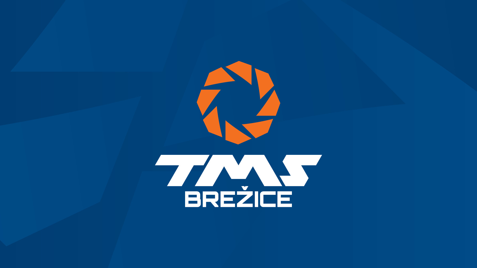 Celostna podoba TMS Brežice