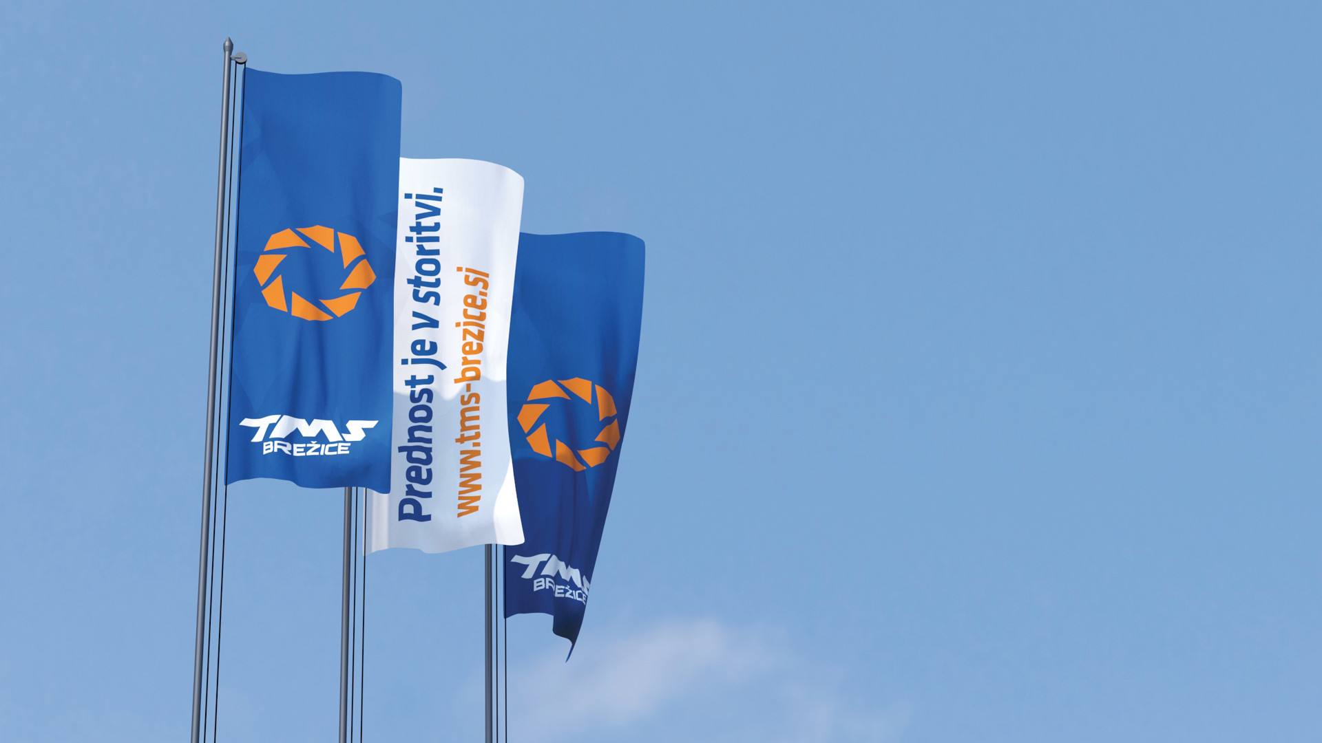 Celostna podoba TMS Brežice