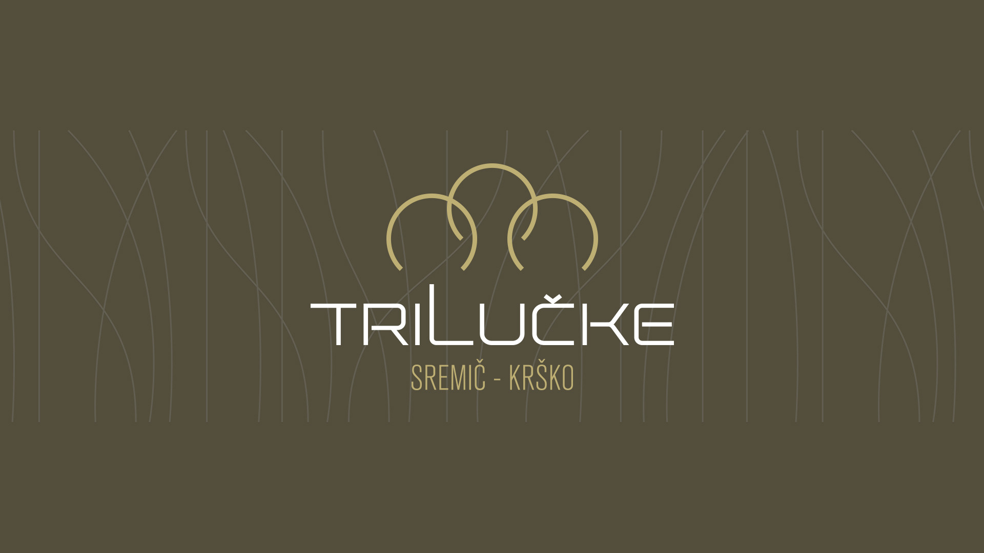 Celostna podoba Tri lučke