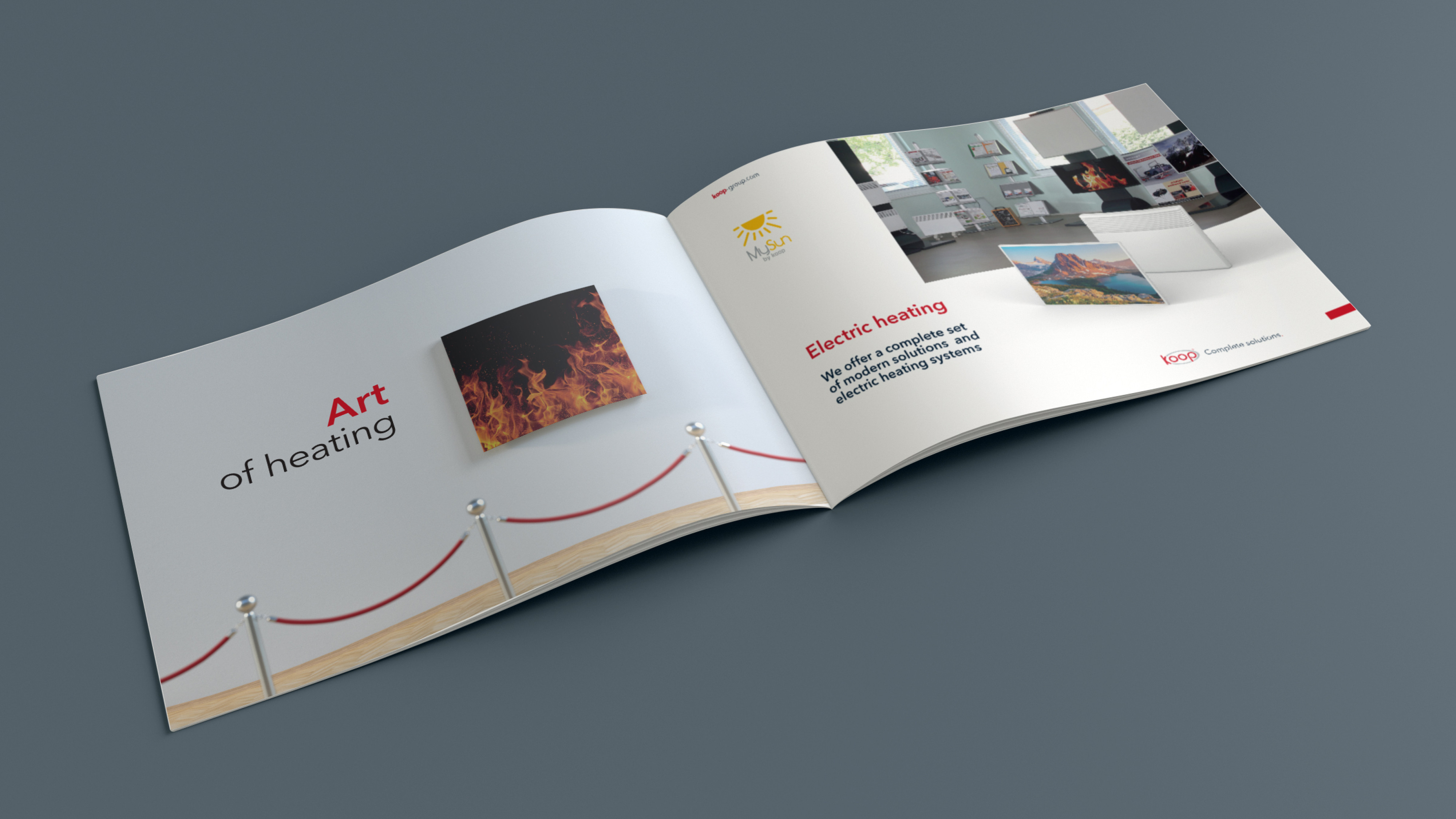 Koop Company Profile