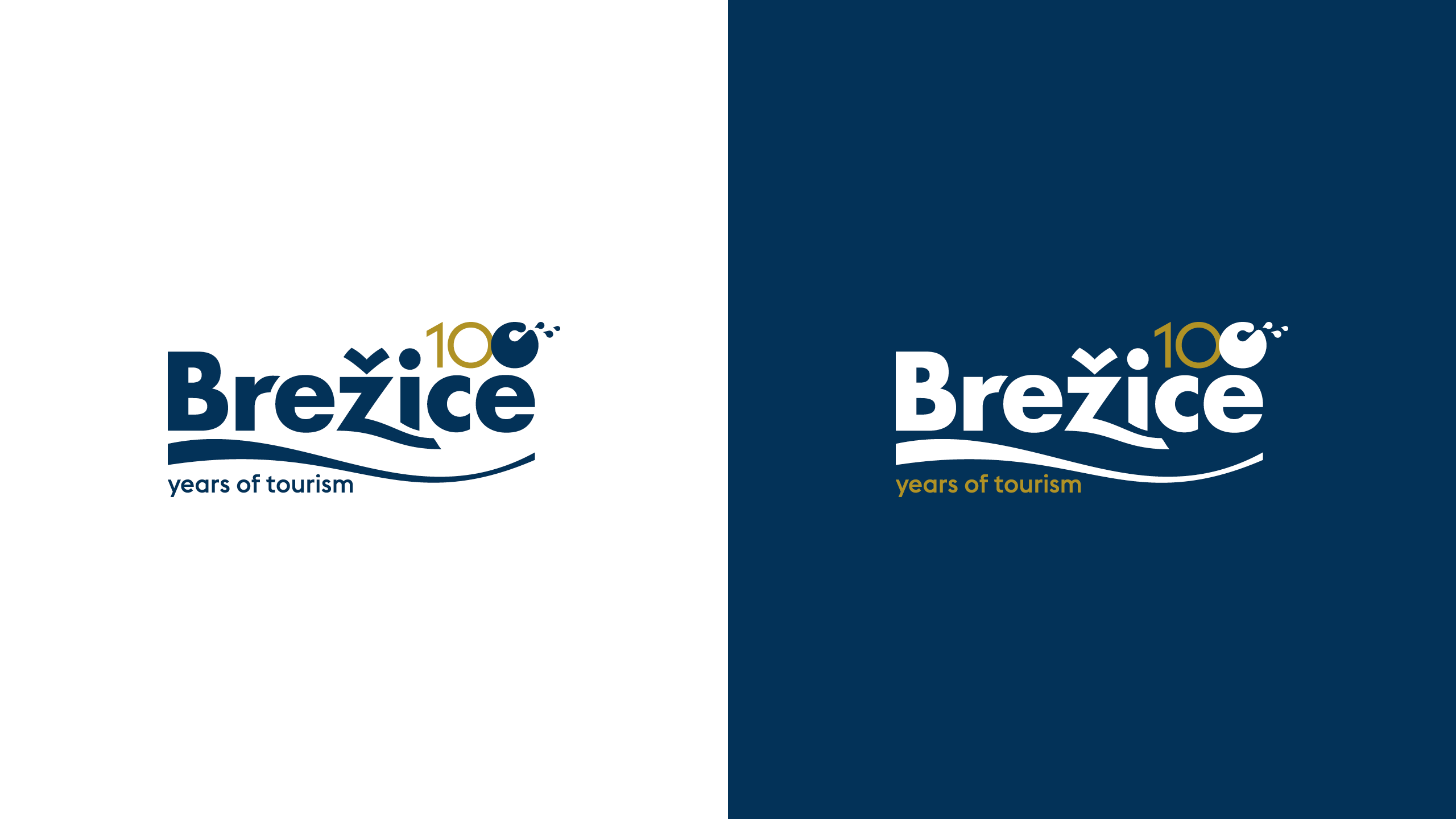 Logotip Visit Brežice - 100 let turizma