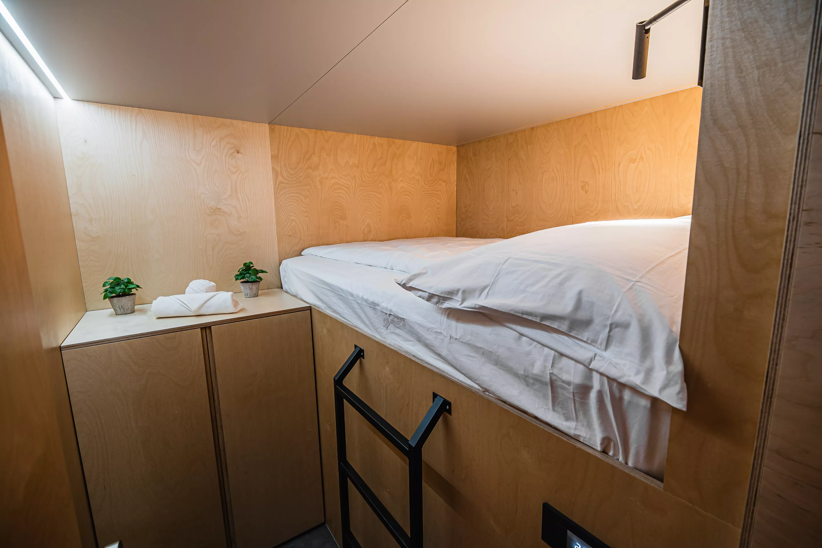 Standardna dvojna kapsula