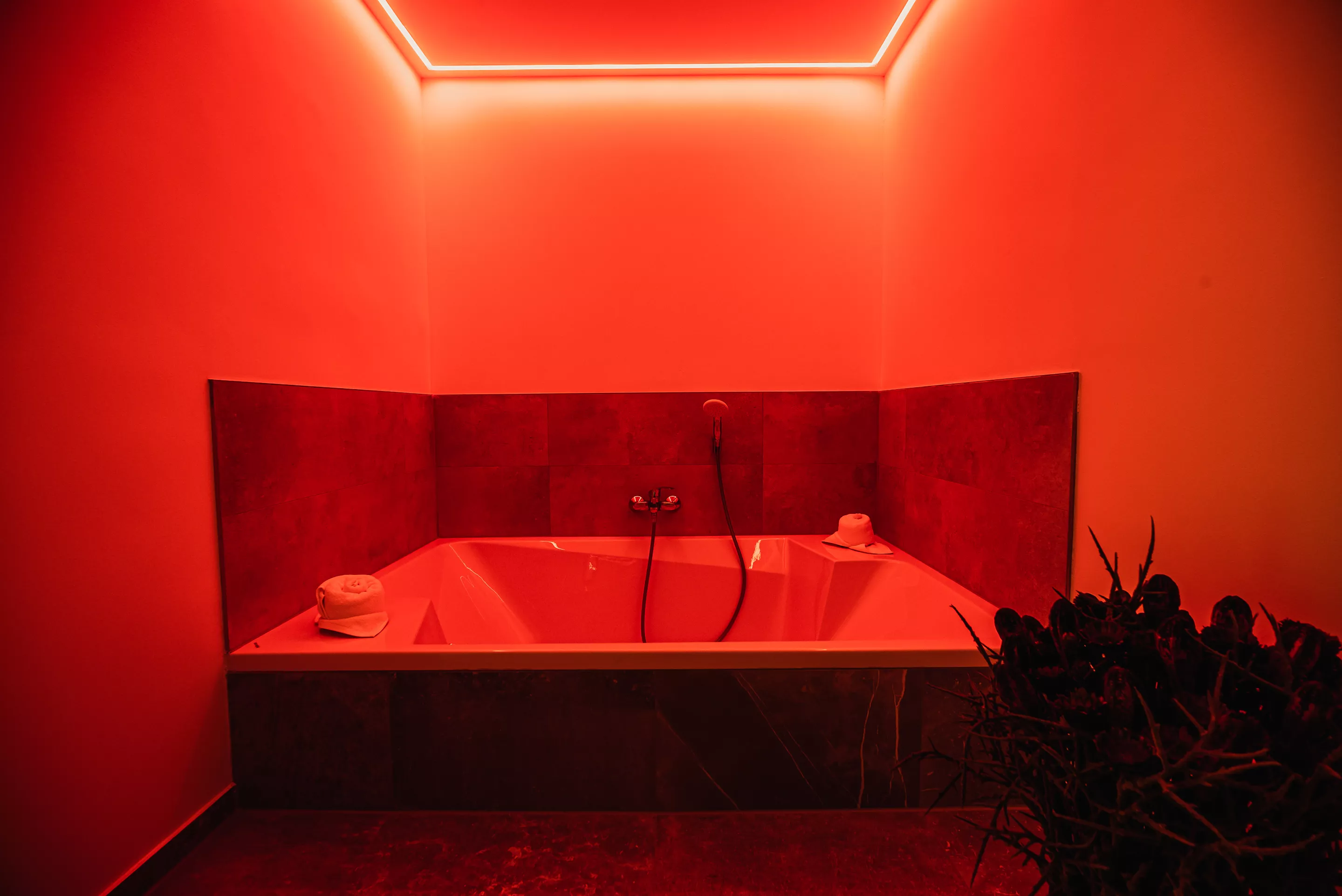 Zasebna soba z zakonsko posteljo in masažno kadjo