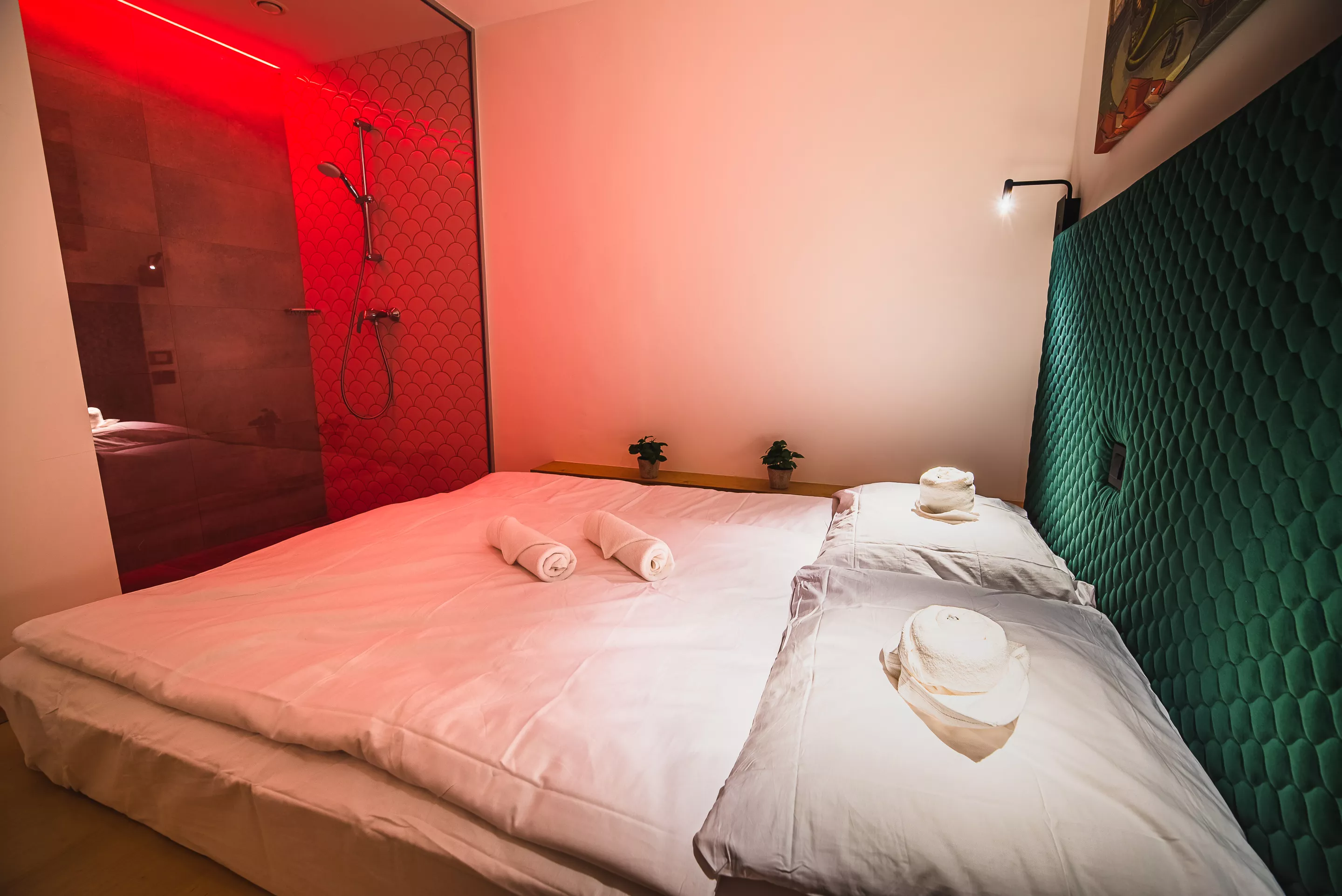 Zasebna soba z zakonsko posteljo za 2 osebi