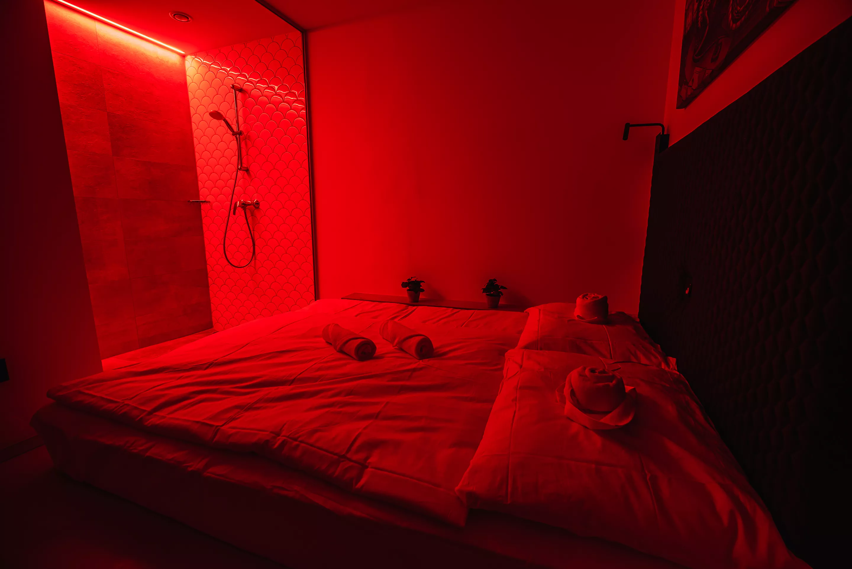 Zasebna soba z zakonsko posteljo za 2 osebi