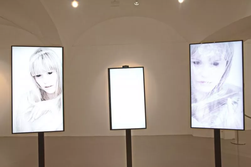 Equrna Ljubljana: Maša Jazbec – Hibridizacija živosti