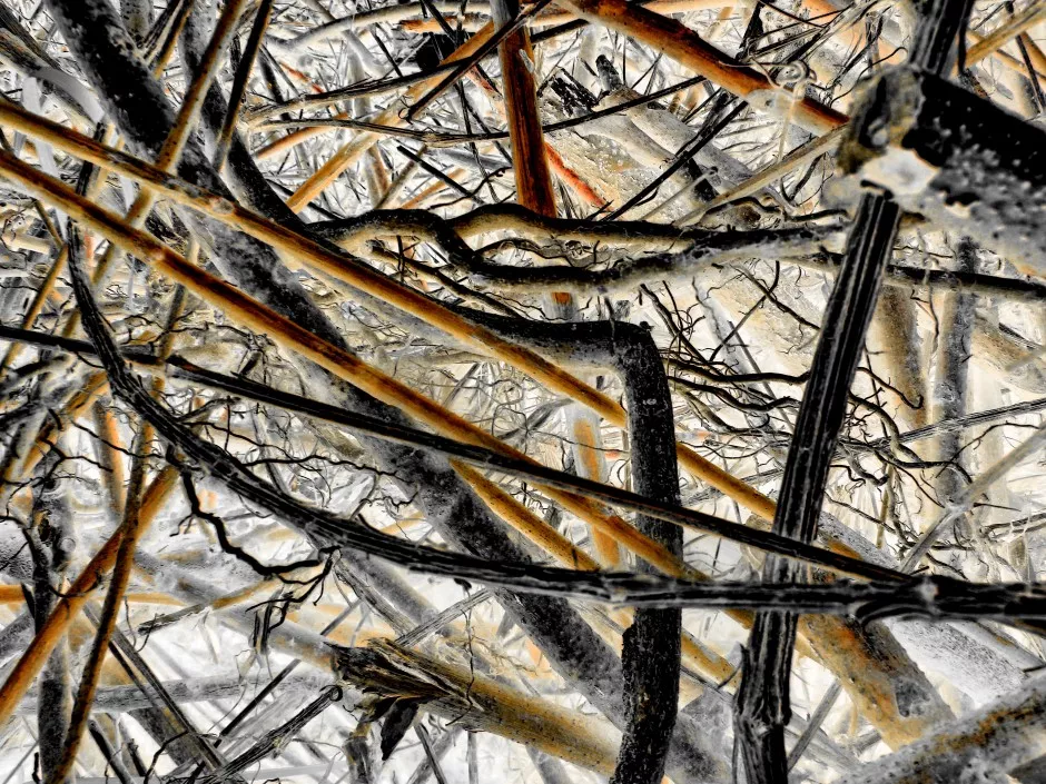 Fotografska razstava RUDIMENTI