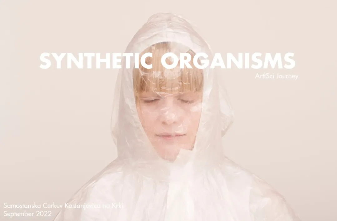 Maša Jazbec: Sintetični organizmi
