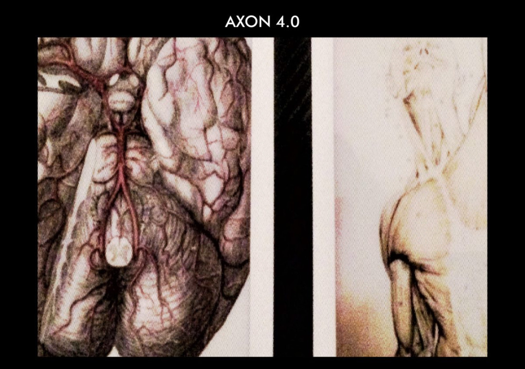 MFRU 2018 – Maša Jazbec: Axon 4.0