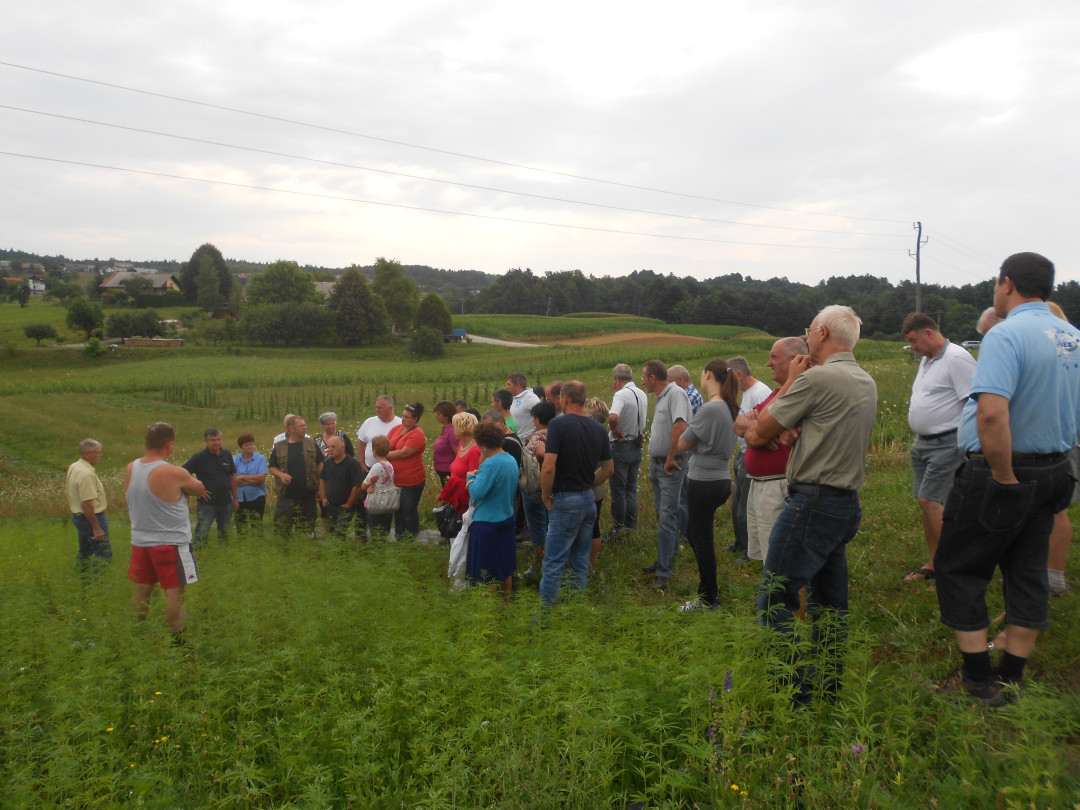 Delavnica industrijska konoplja 13.7.15 009.JPG