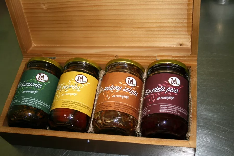 Ekološka ekskurzija na sadjarsko kmetijo Podgrajšek pri Slovenski Bistrici (junij 2010)