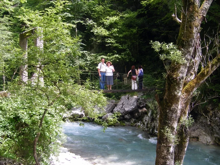 Strokovna ekskurzija na Čadrk nad tolminom (junij 2006)