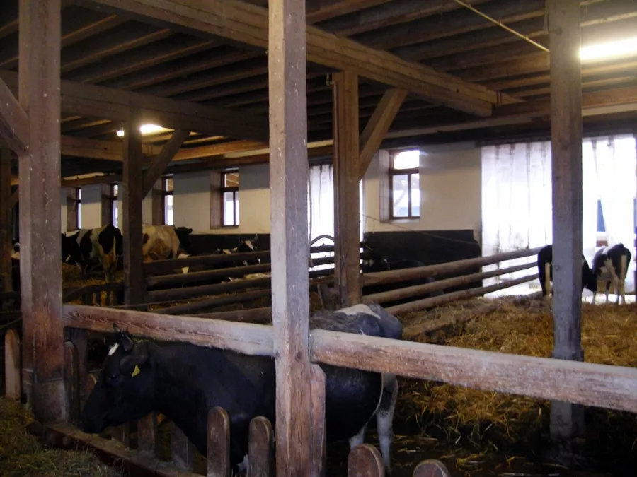 Strokovna ekskurzija v Nemčijo (Munchen) 15. 2. 2007