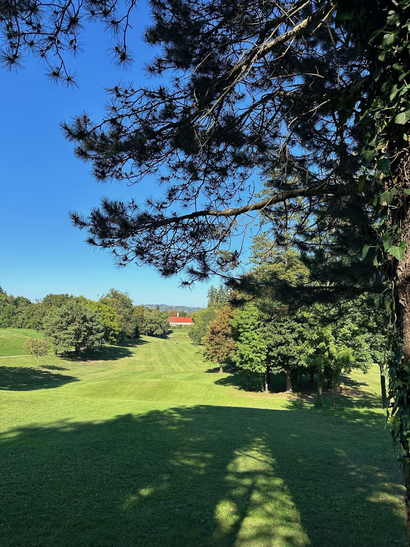 Klubsko prvenstvo 2025