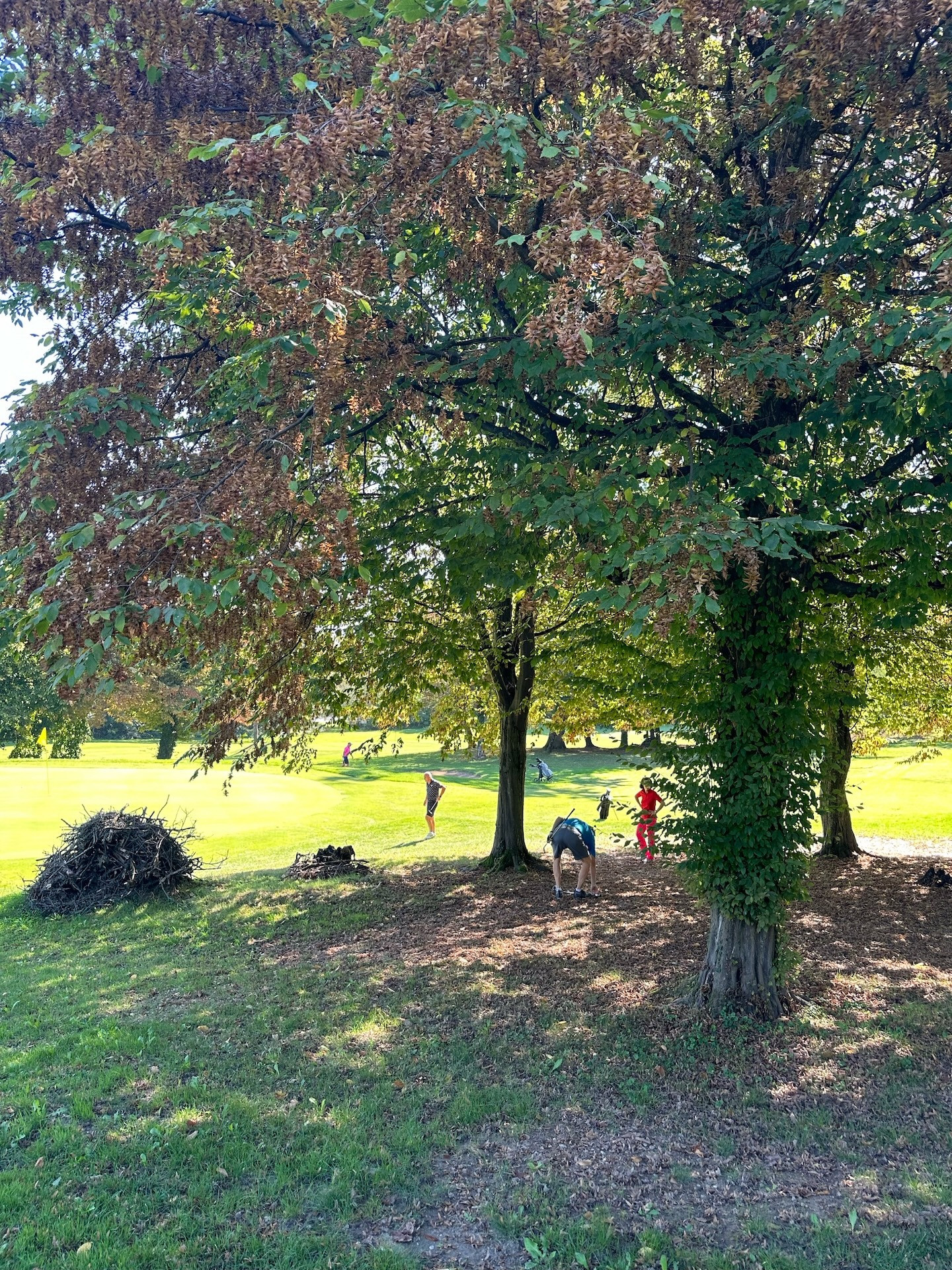 Klubsko prvenstvo 2025