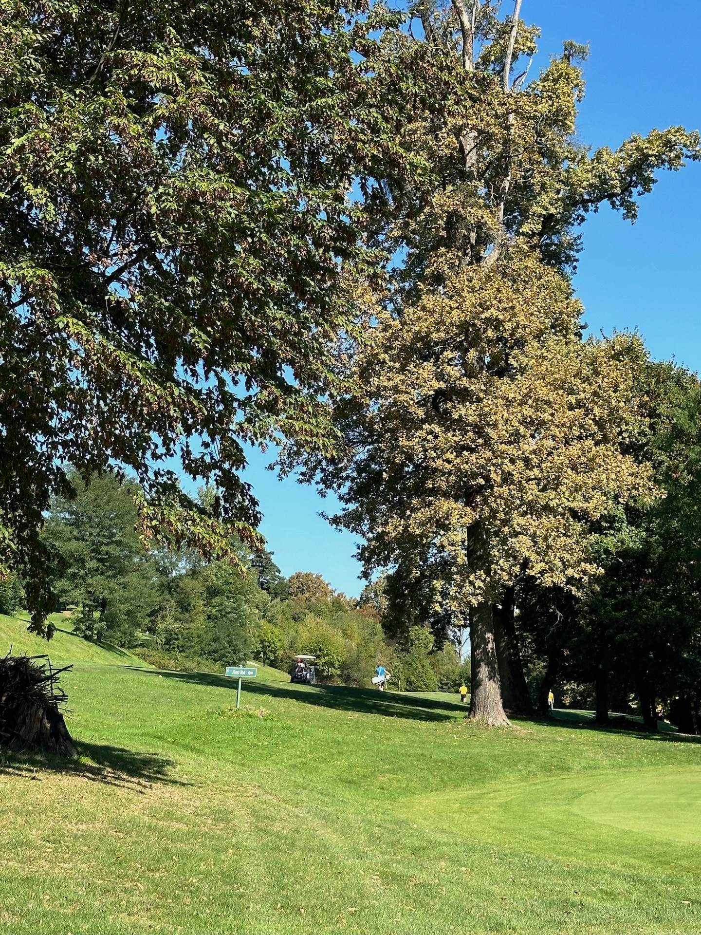 Klubsko prvenstvo 2025