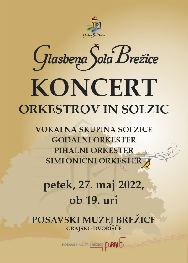 2. Koncert orkestrov Glasbene šole Brežice