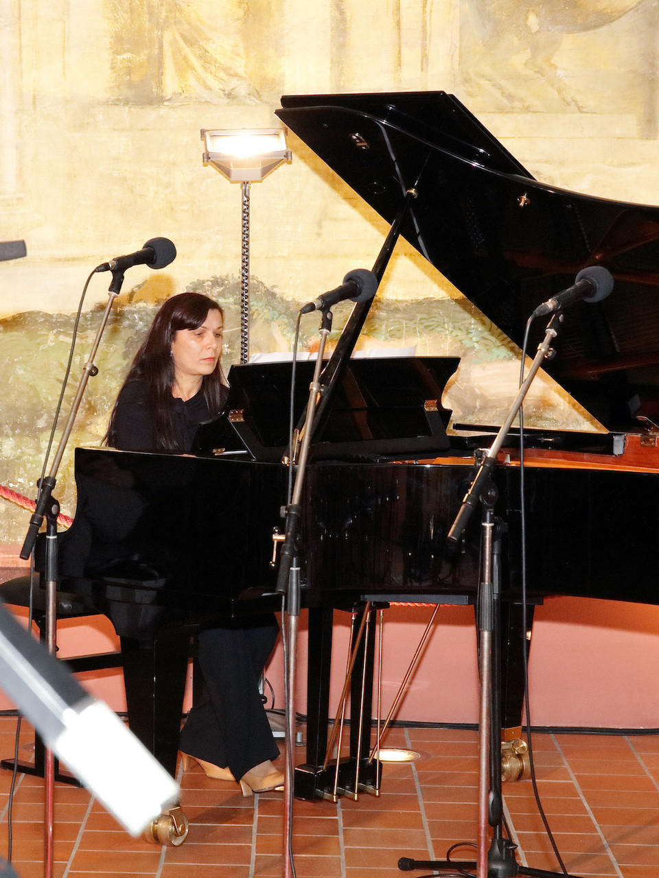 Avtorski koncert Špele Avsenak - 31. 1. 2019