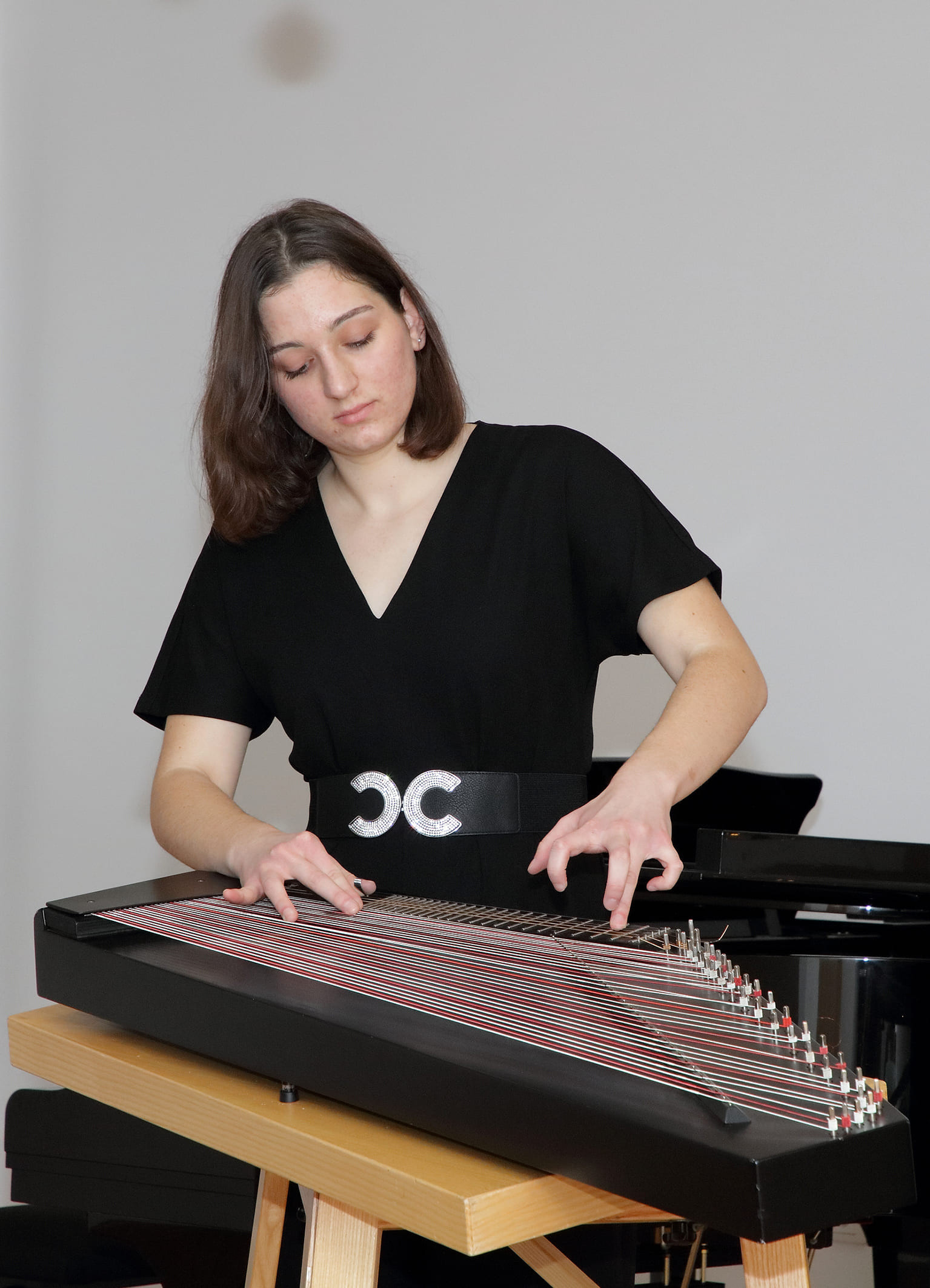 Božično novoletni koncert nekdanjih učencev GŠ Brežice