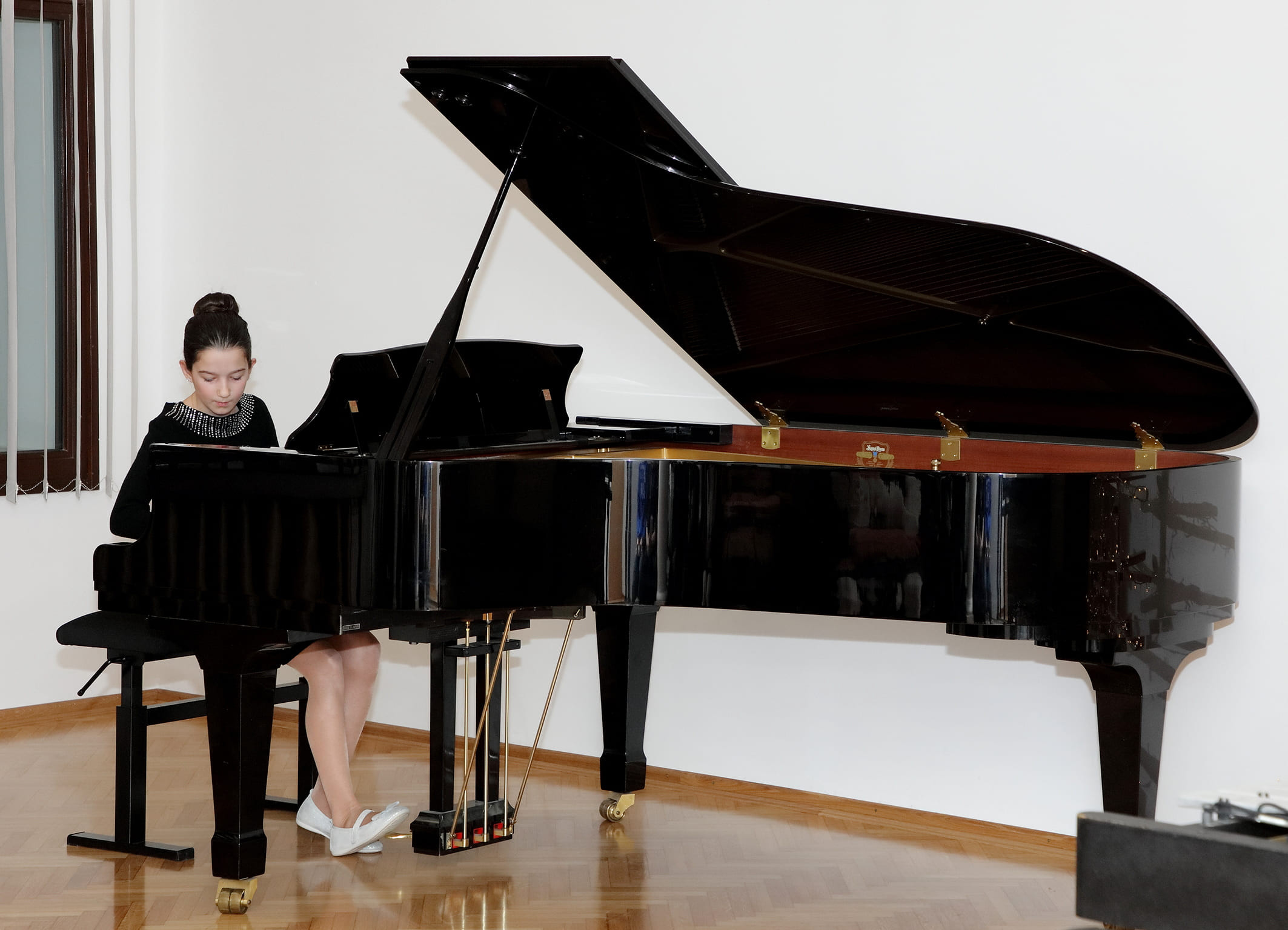 Božično novoletni koncert učencev GŠ Brežice