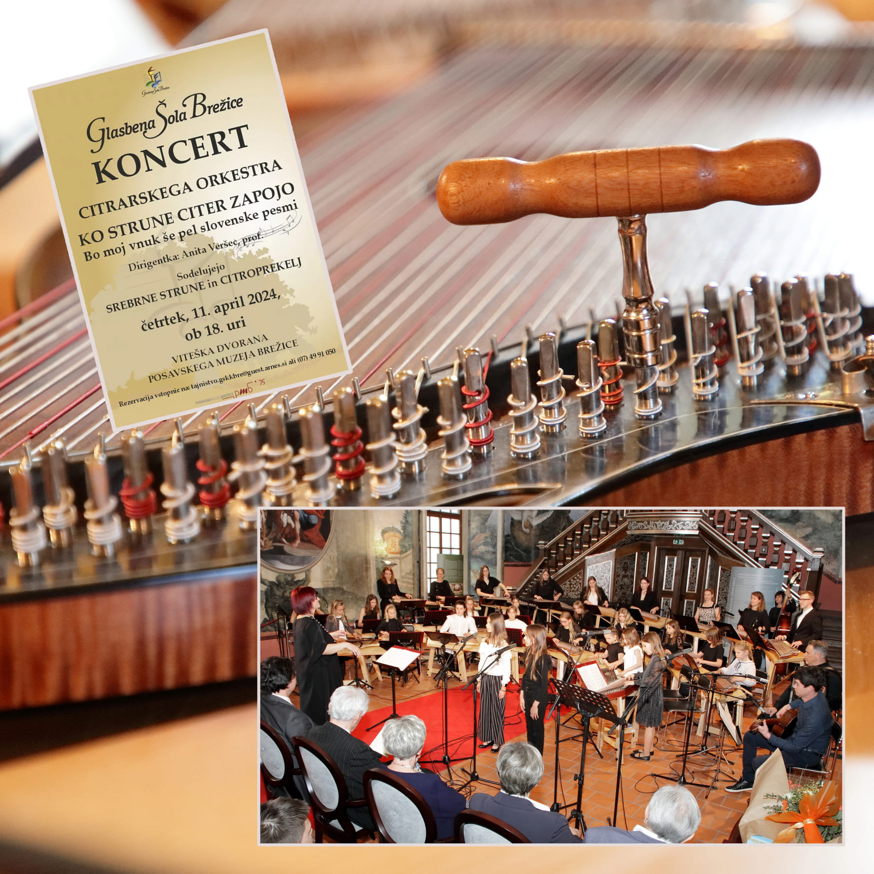 Koncert citrarskega orkestra Glasbene šole Brežice