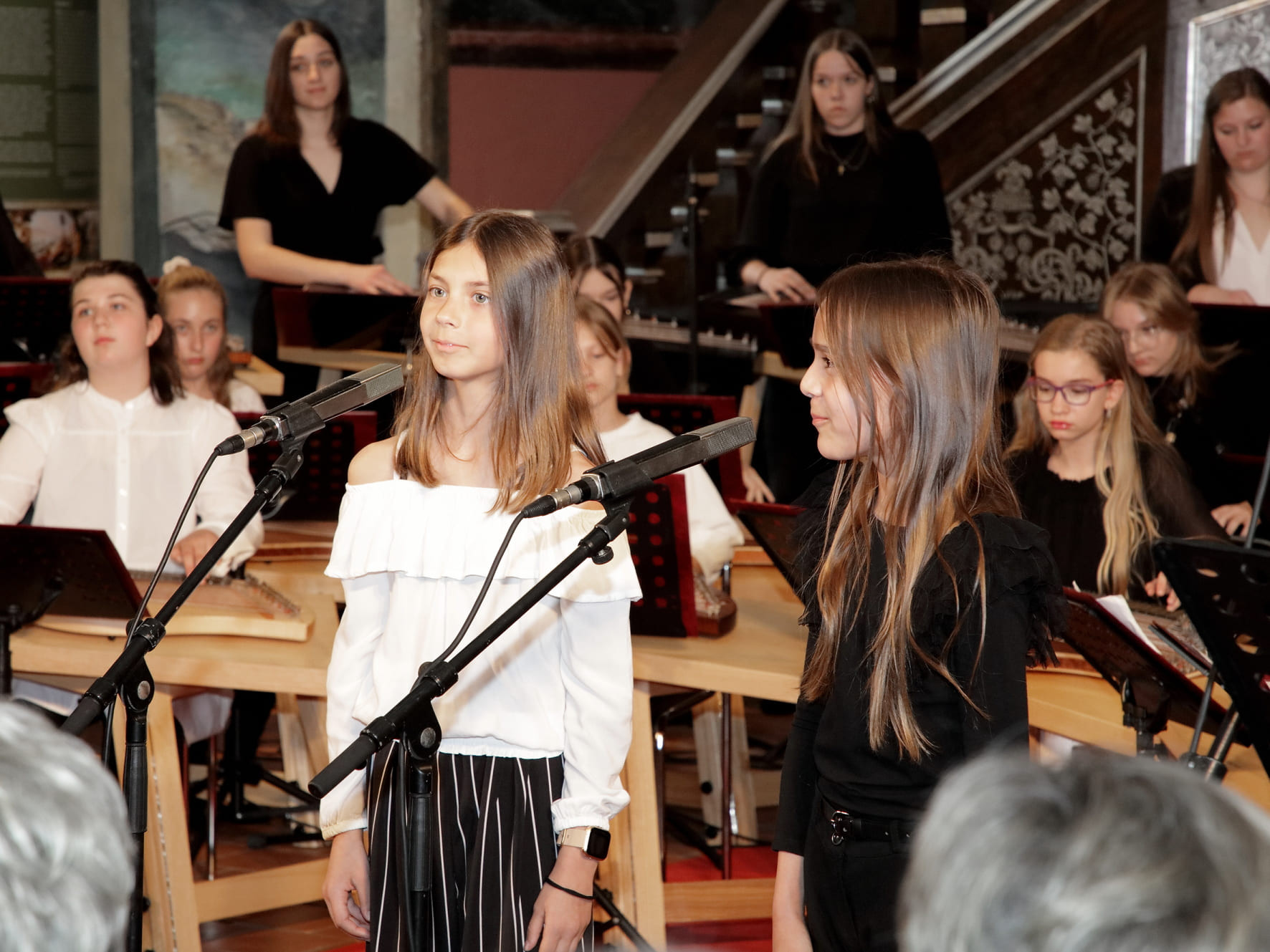 Koncert citrarskega orkestra Glasbene šole Brežice