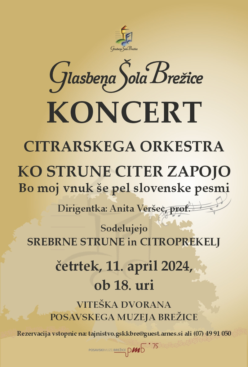 Koncert citrarskega orkestra Glasbene šole Brežice