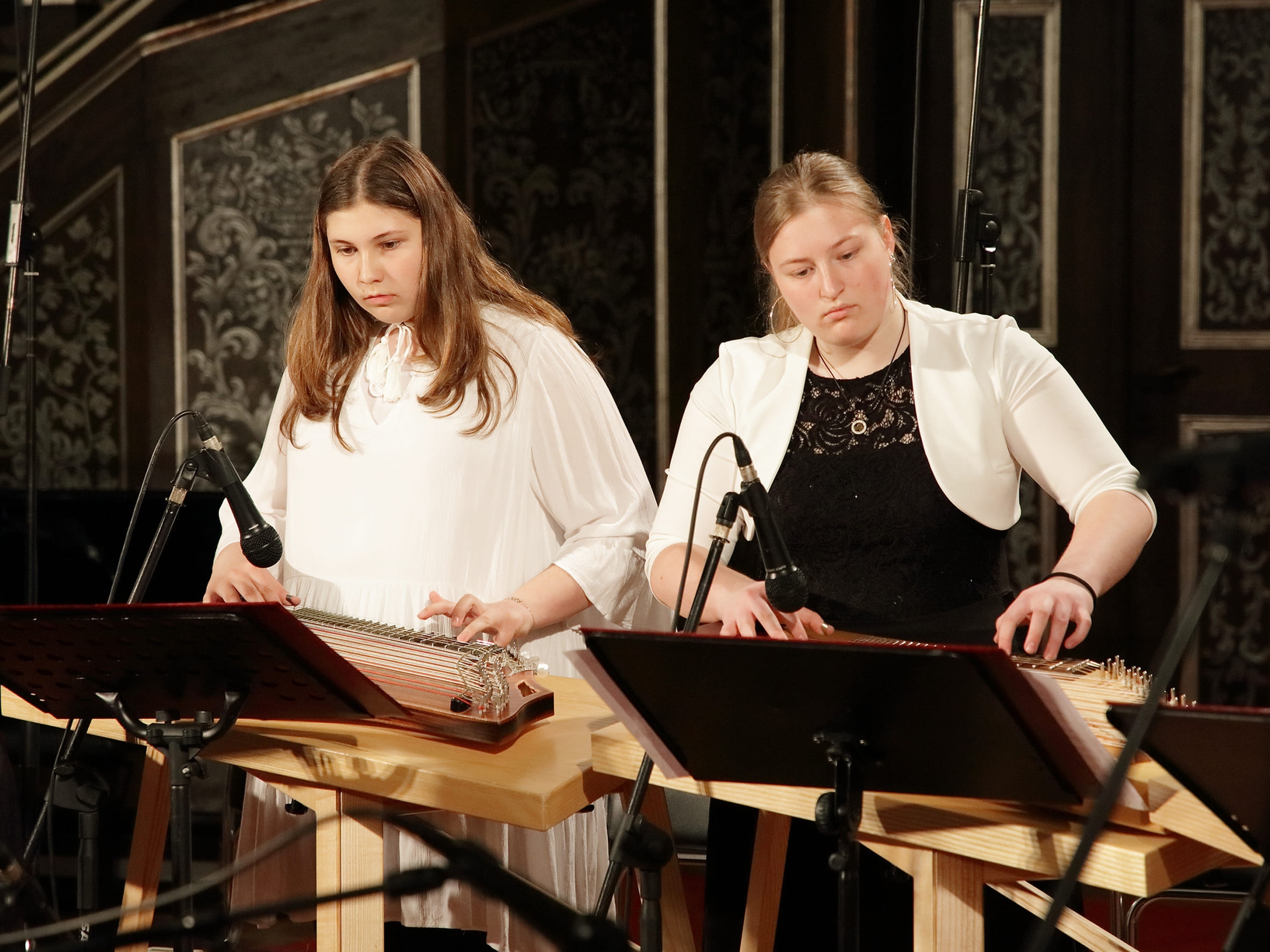 Koncert citrarskega orkestra: Ko strune citer zapojo