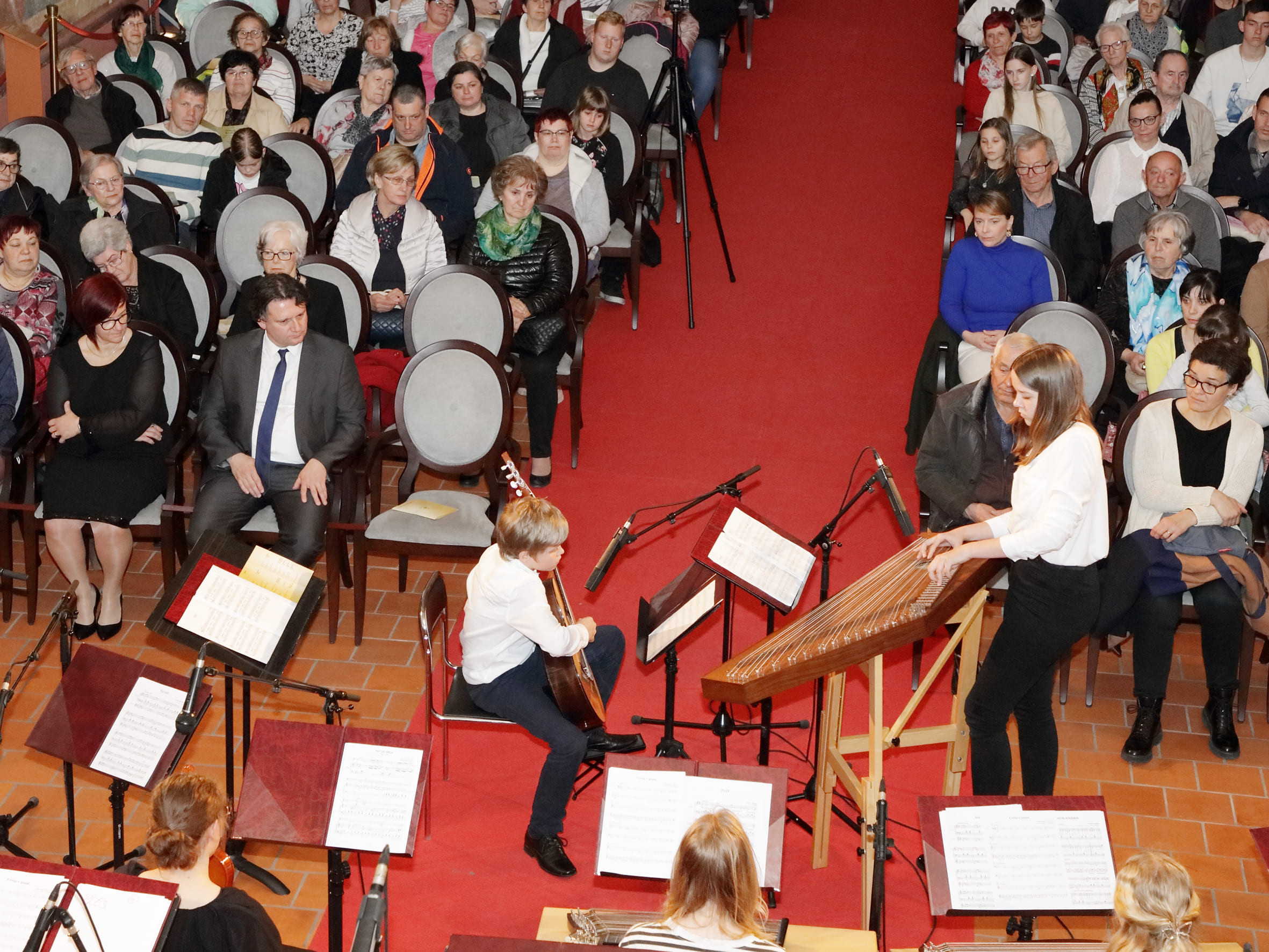 Koncert citrarskega orkestra: Ko strune citer zapojo
