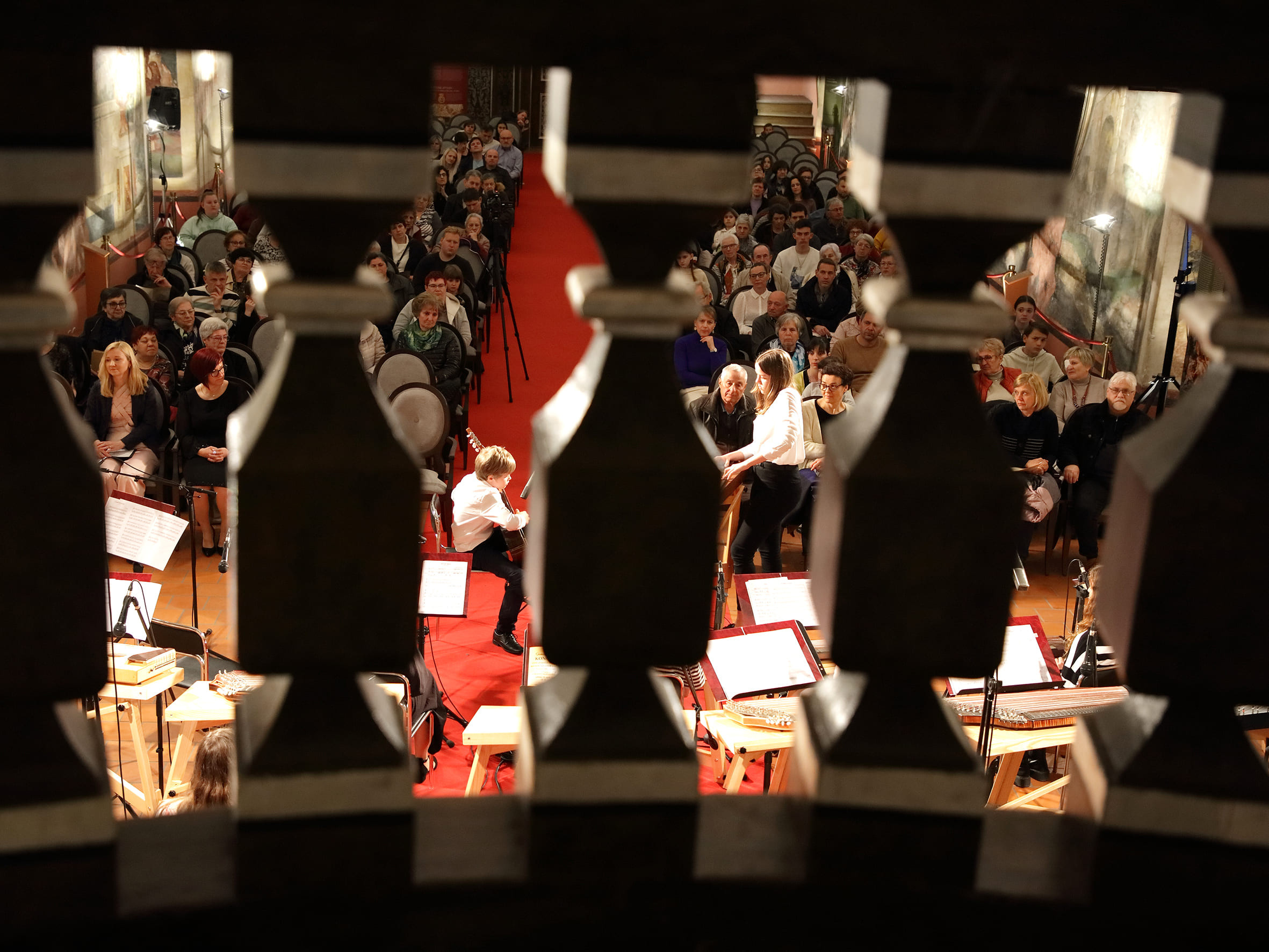 Koncert citrarskega orkestra: Ko strune citer zapojo