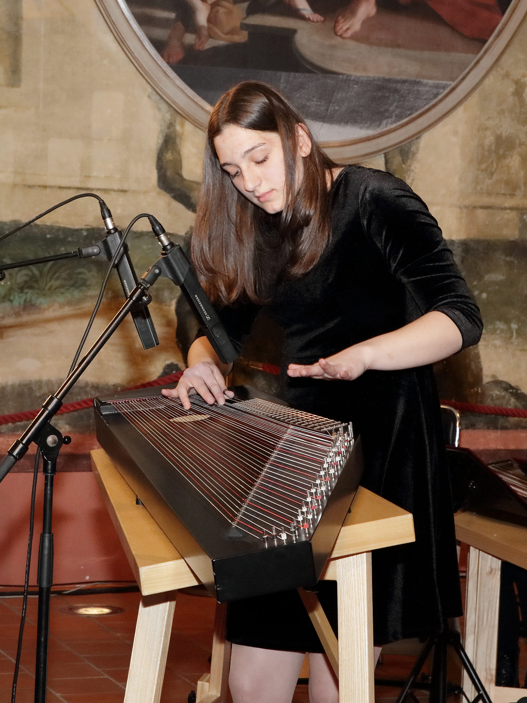 Koncert citrarskega orkestra: Ko strune citer zapojo