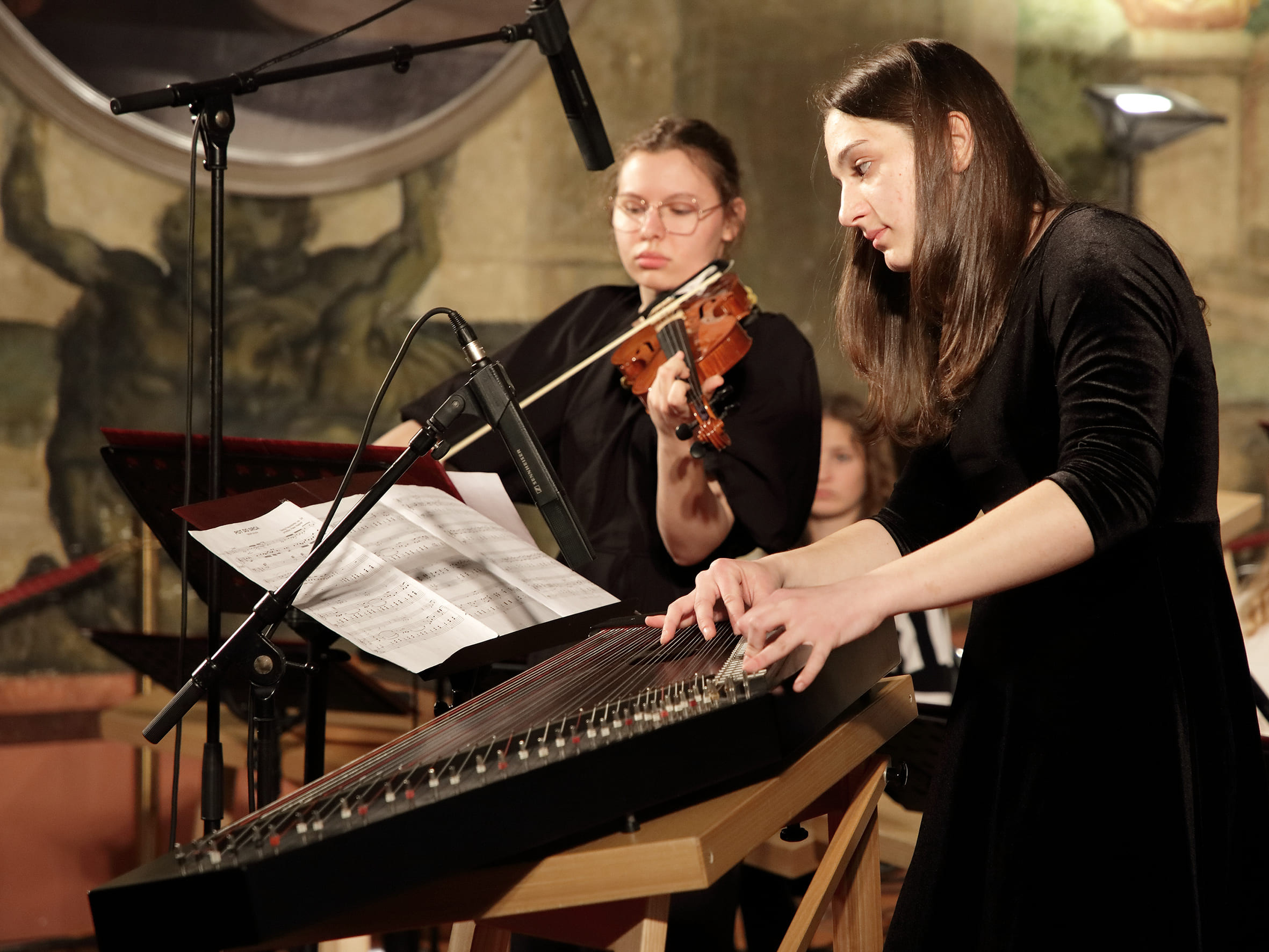 Koncert citrarskega orkestra: Ko strune citer zapojo
