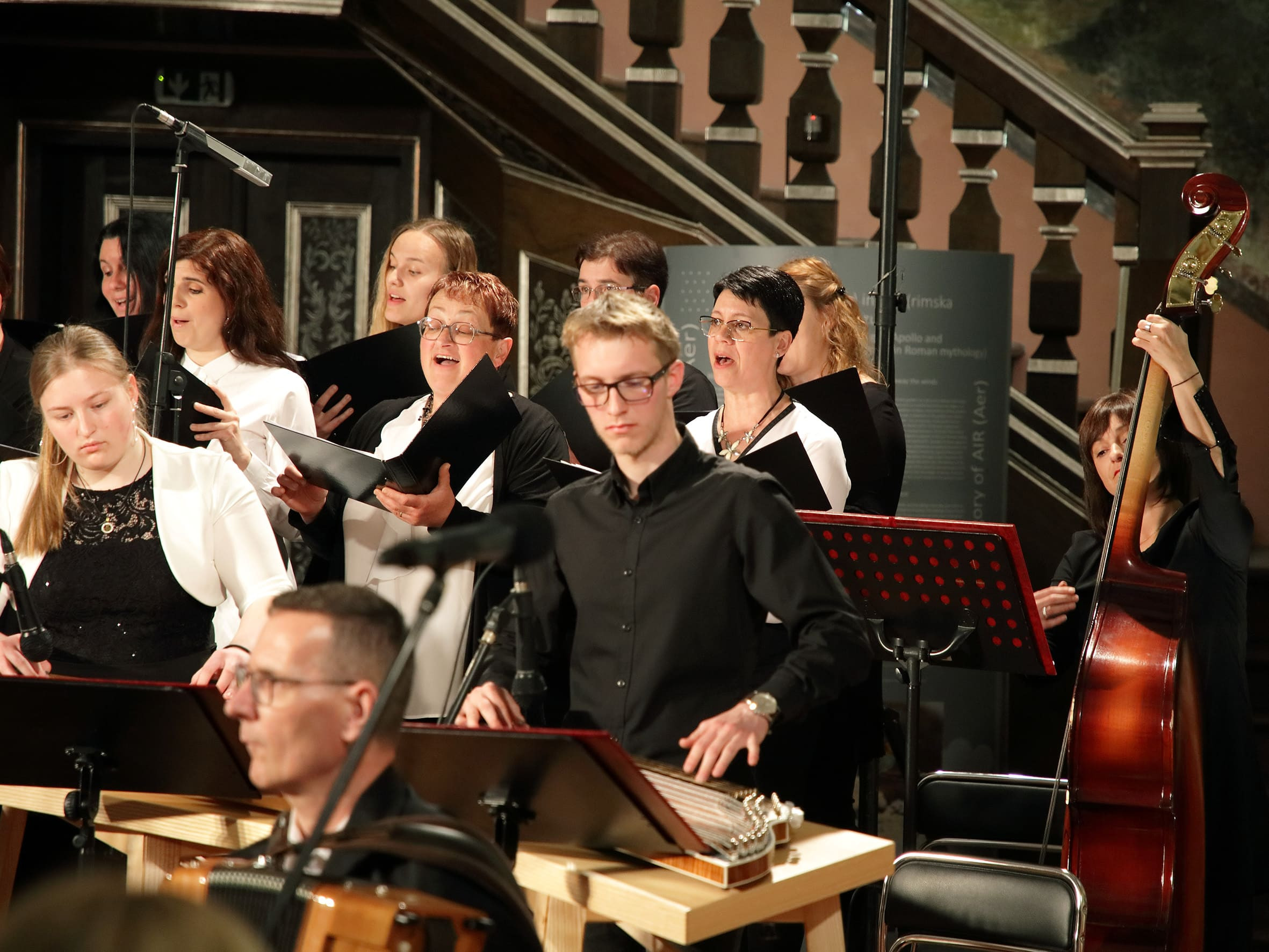 Koncert citrarskega orkestra: Ko strune citer zapojo