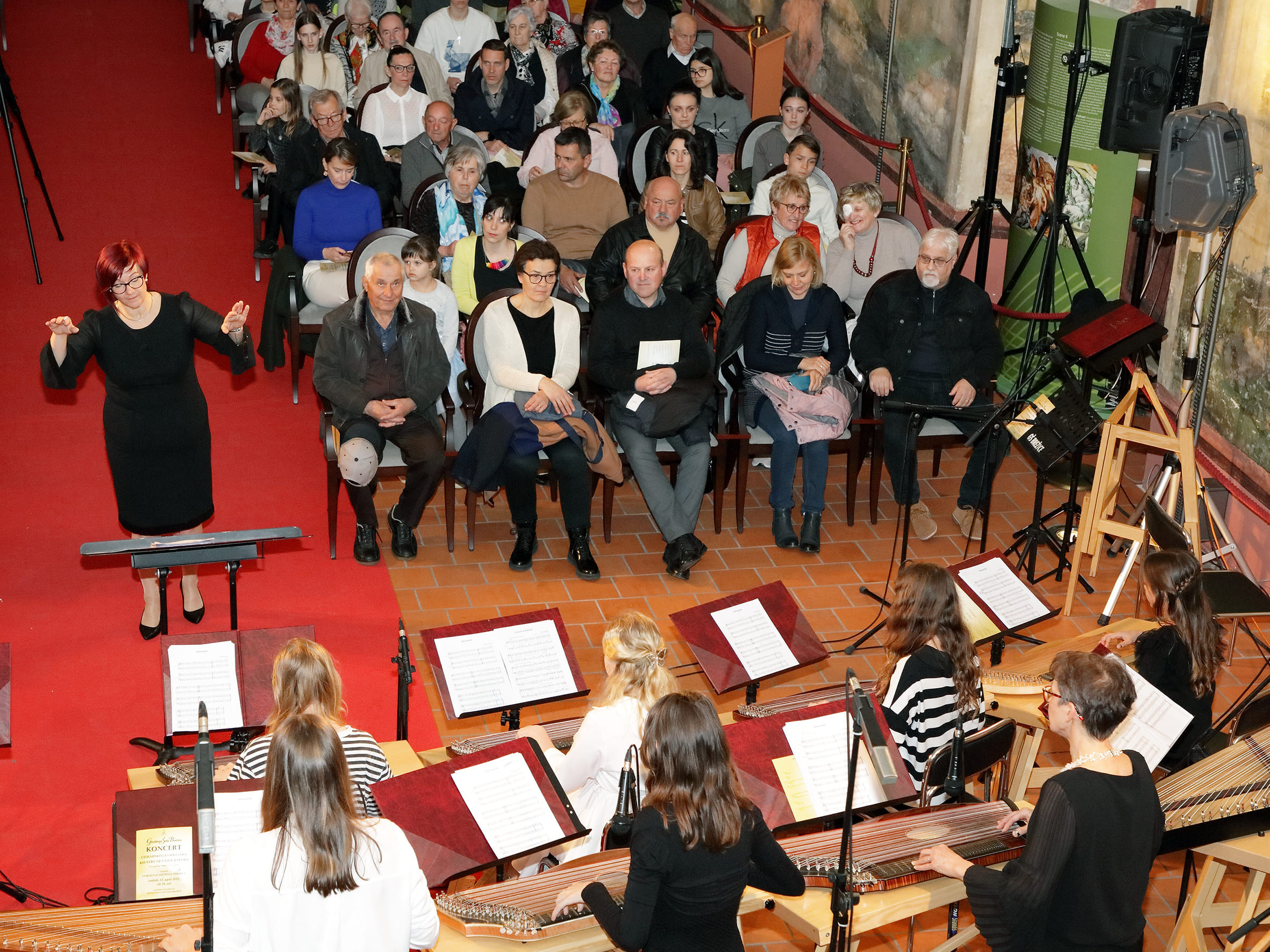 Koncert citrarskega orkestra: Ko strune citer zapojo