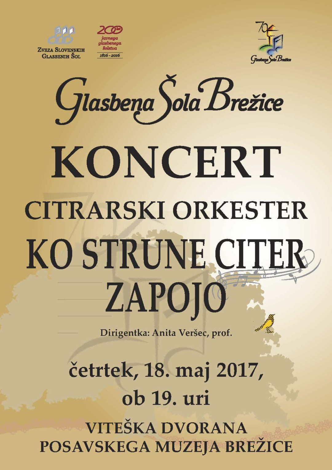 Koncert citrarski orkester - Ko strune citer zapojejo