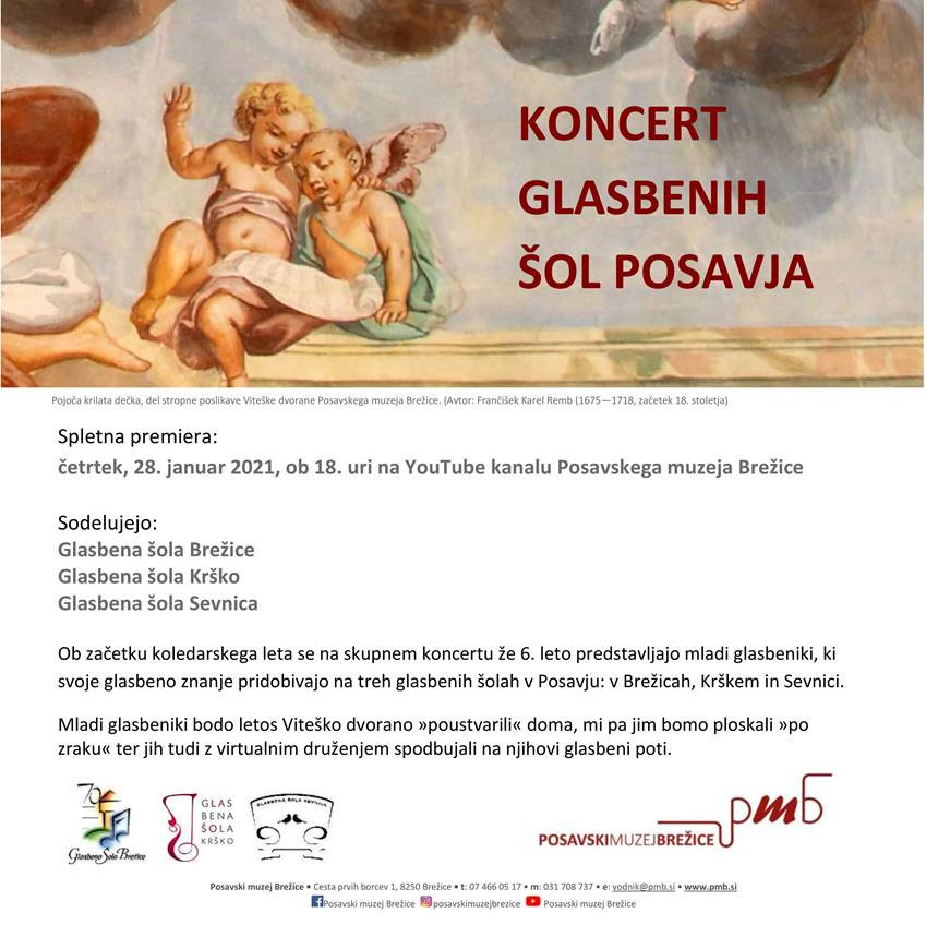Koncert glasbenih šol Posavja
