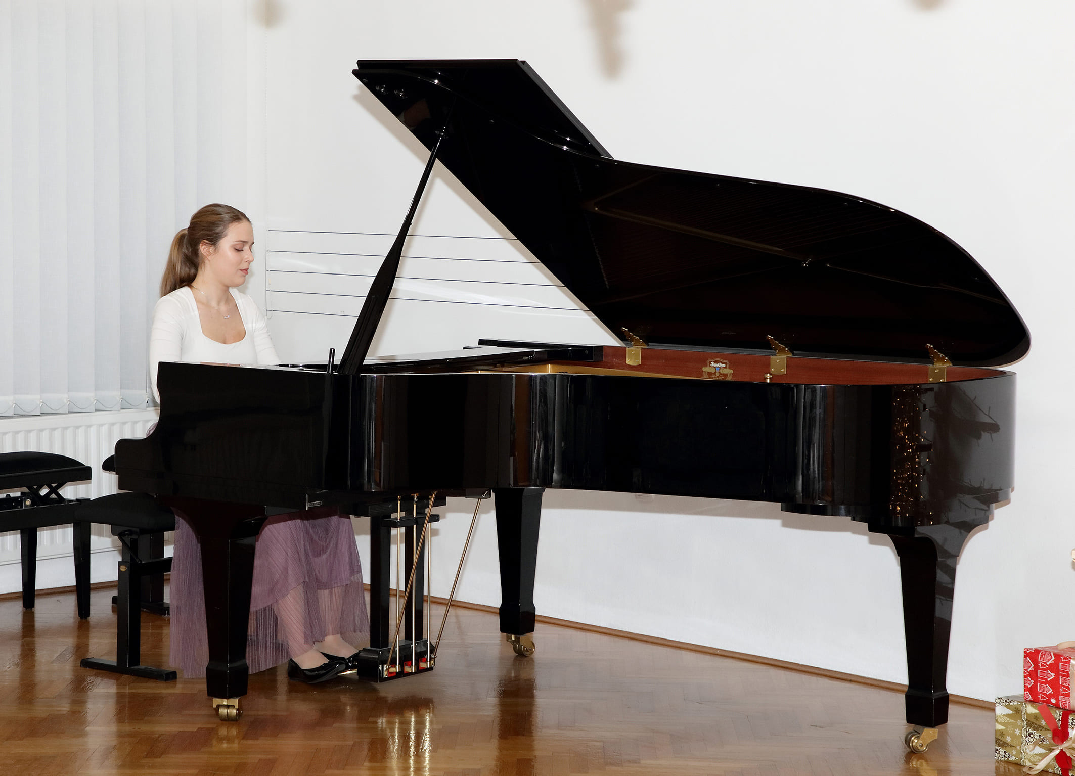 Koncert nekdanjih učencev Glasbene šole Brežice