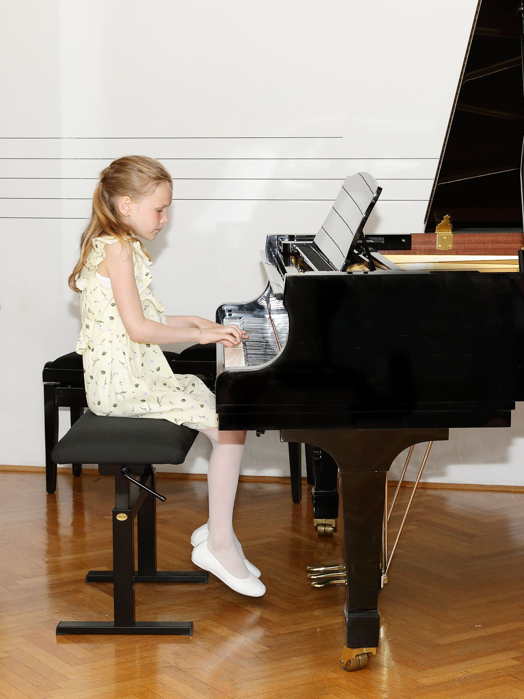 Koncert ob 20 letnici sodelovanja prijateljskih šol GŠ Brežice in ZUŠ Dobřany