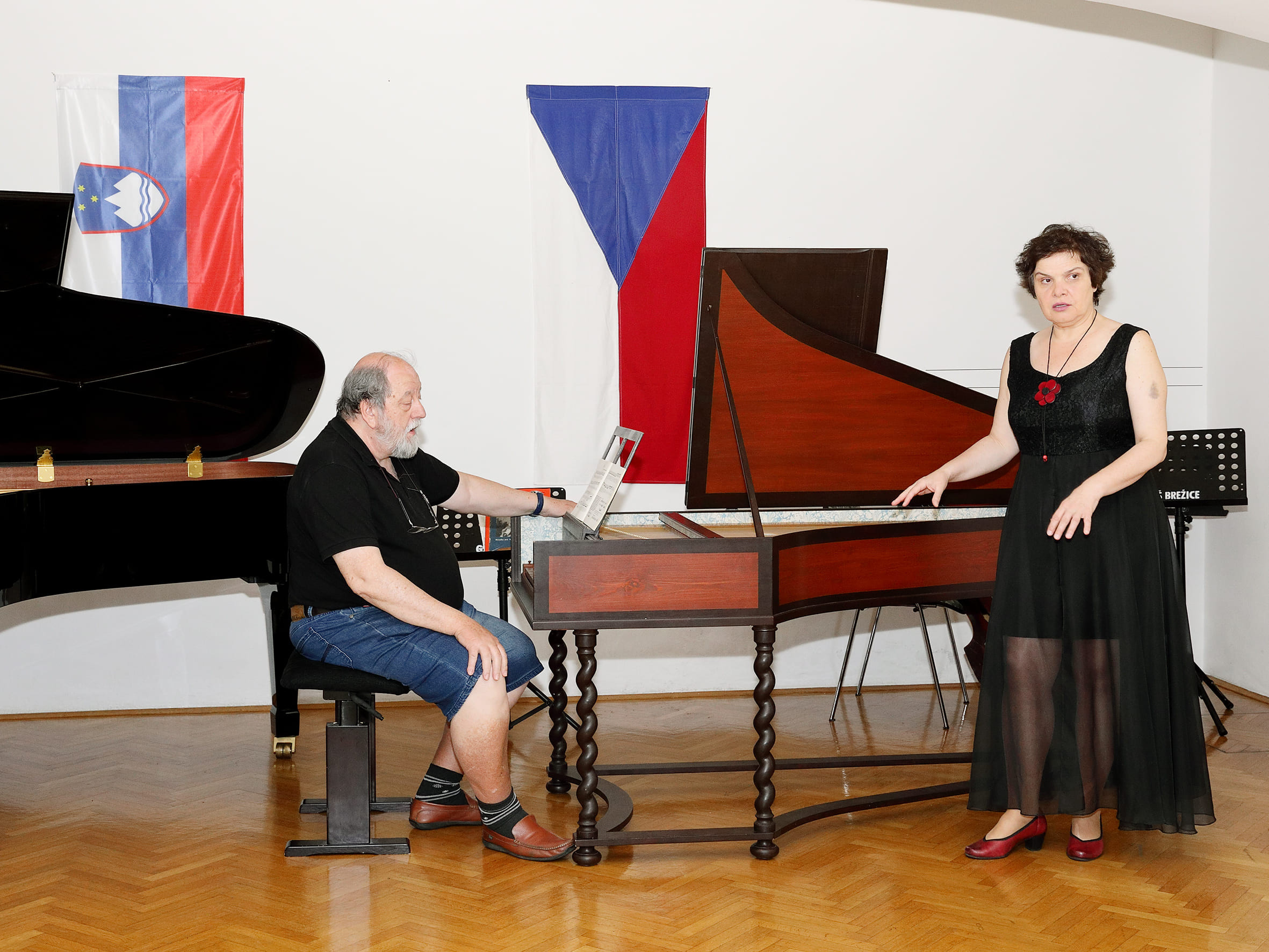 Koncert ob 20 letnici sodelovanja prijateljskih šol GŠ Brežice in ZUŠ Dobřany