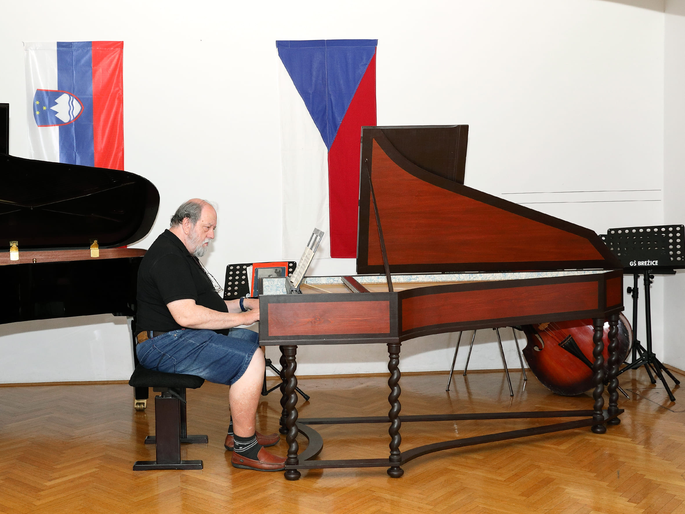 Koncert ob 20 letnici sodelovanja prijateljskih šol GŠ Brežice in ZUŠ Dobřany