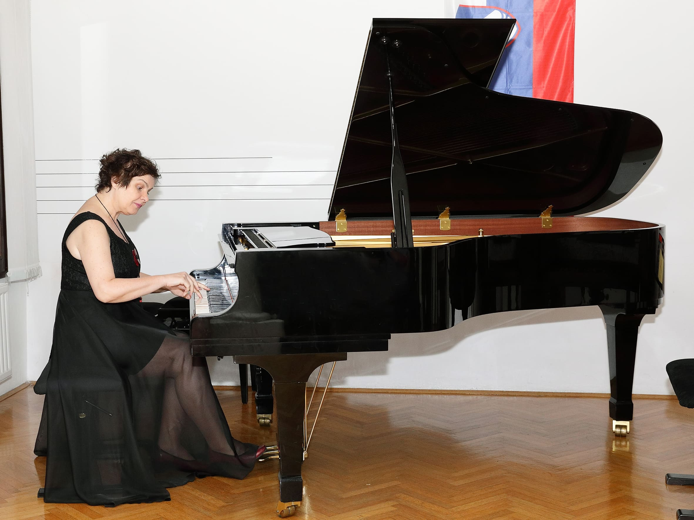 Koncert ob 20 letnici sodelovanja prijateljskih šol GŠ Brežice in ZUŠ Dobřany