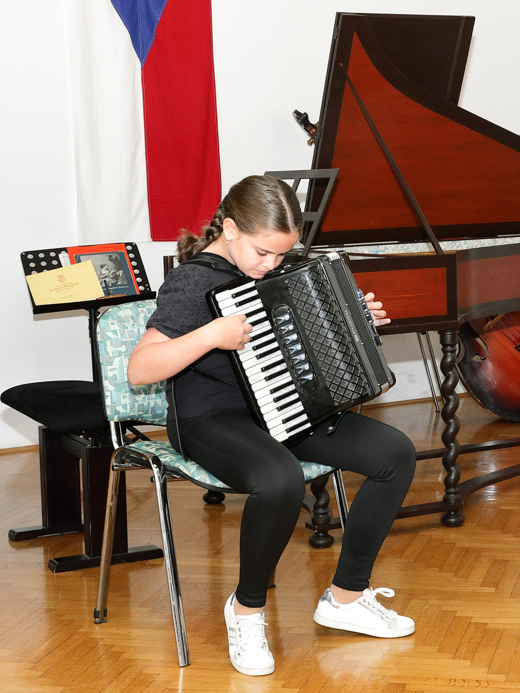 Koncert ob 20 letnici sodelovanja prijateljskih šol GŠ Brežice in ZUŠ Dobřany