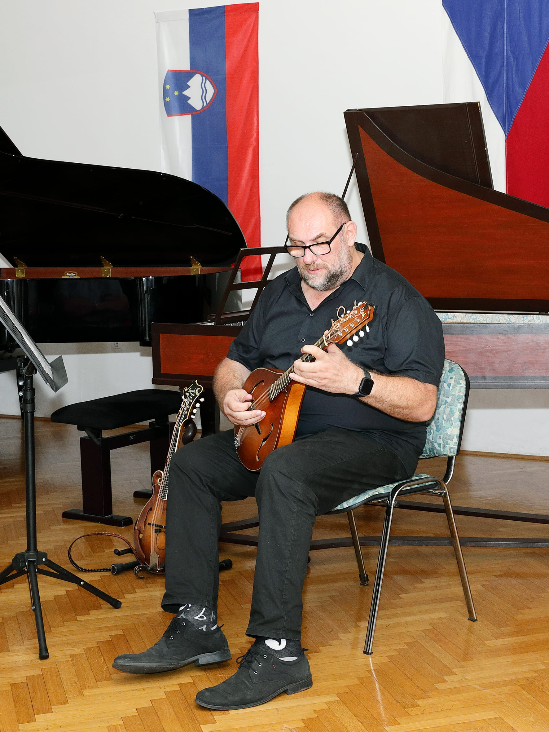 Koncert ob 20 letnici sodelovanja prijateljskih šol GŠ Brežice in ZUŠ Dobřany