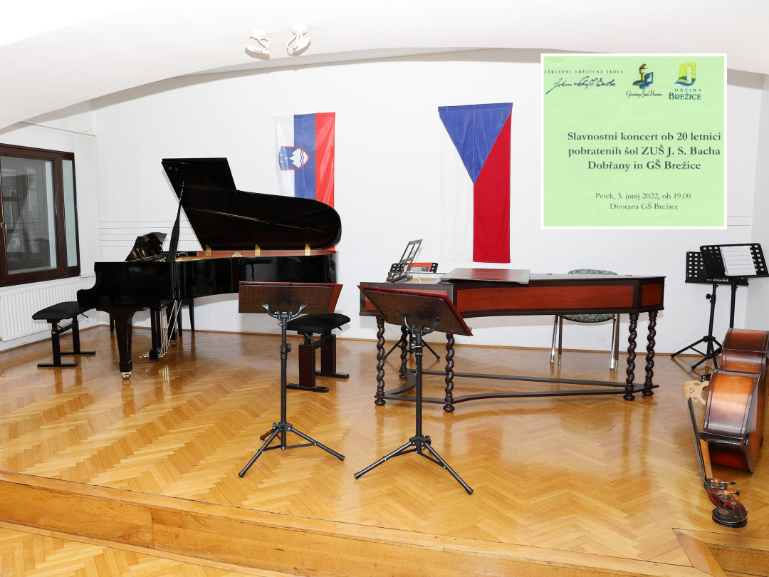 Koncert ob 20 letnici sodelovanja prijateljskih šol GŠ Brežice in ZUŠ Dobřany