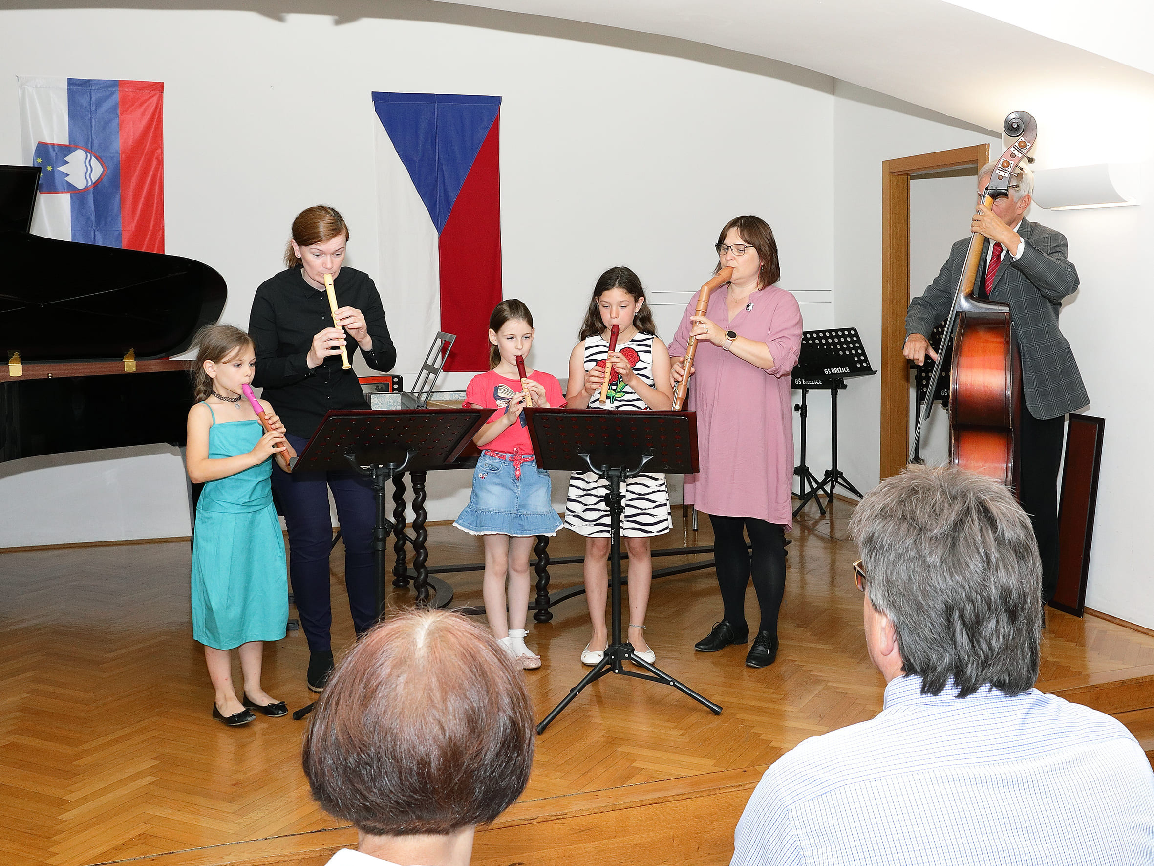 Koncert ob 20 letnici sodelovanja prijateljskih šol GŠ Brežice in ZUŠ Dobřany
