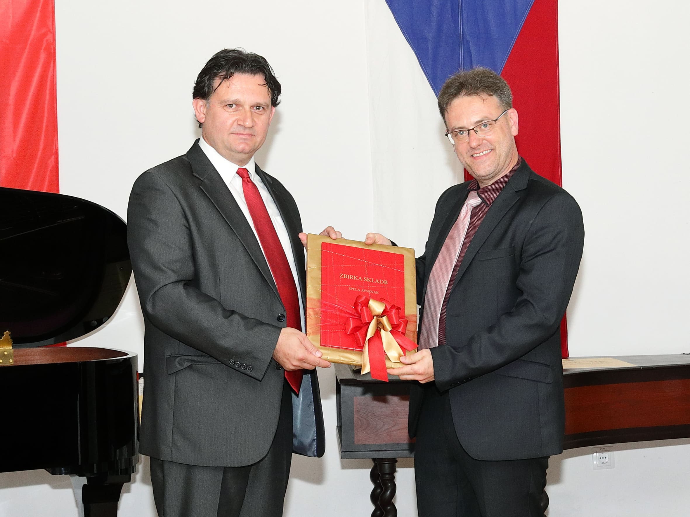 Koncert ob 20 letnici sodelovanja prijateljskih šol GŠ Brežice in ZUŠ Dobřany